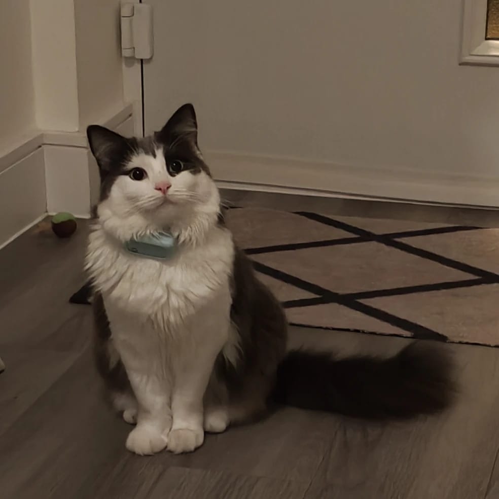 Oscar