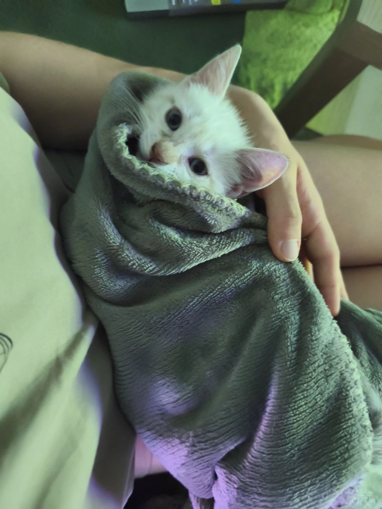 image-11