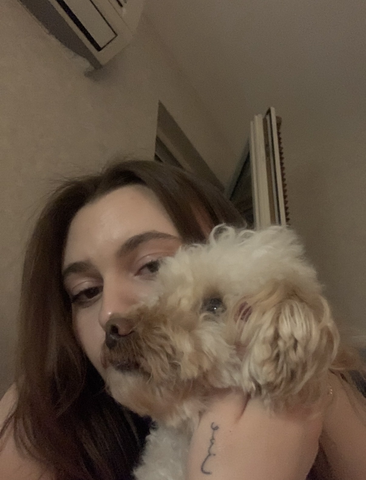 image-8