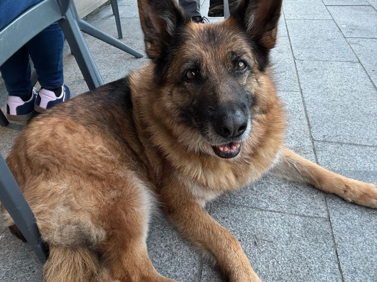 image-7