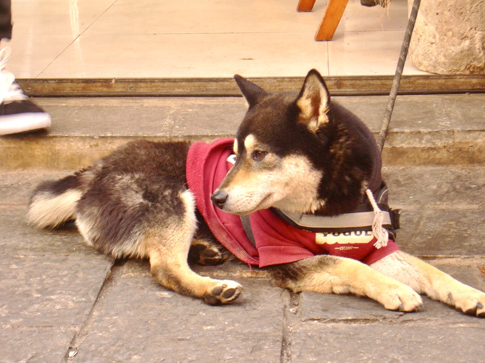 image-6