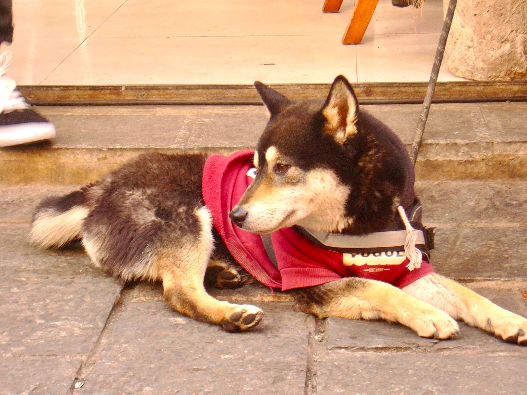 image-6