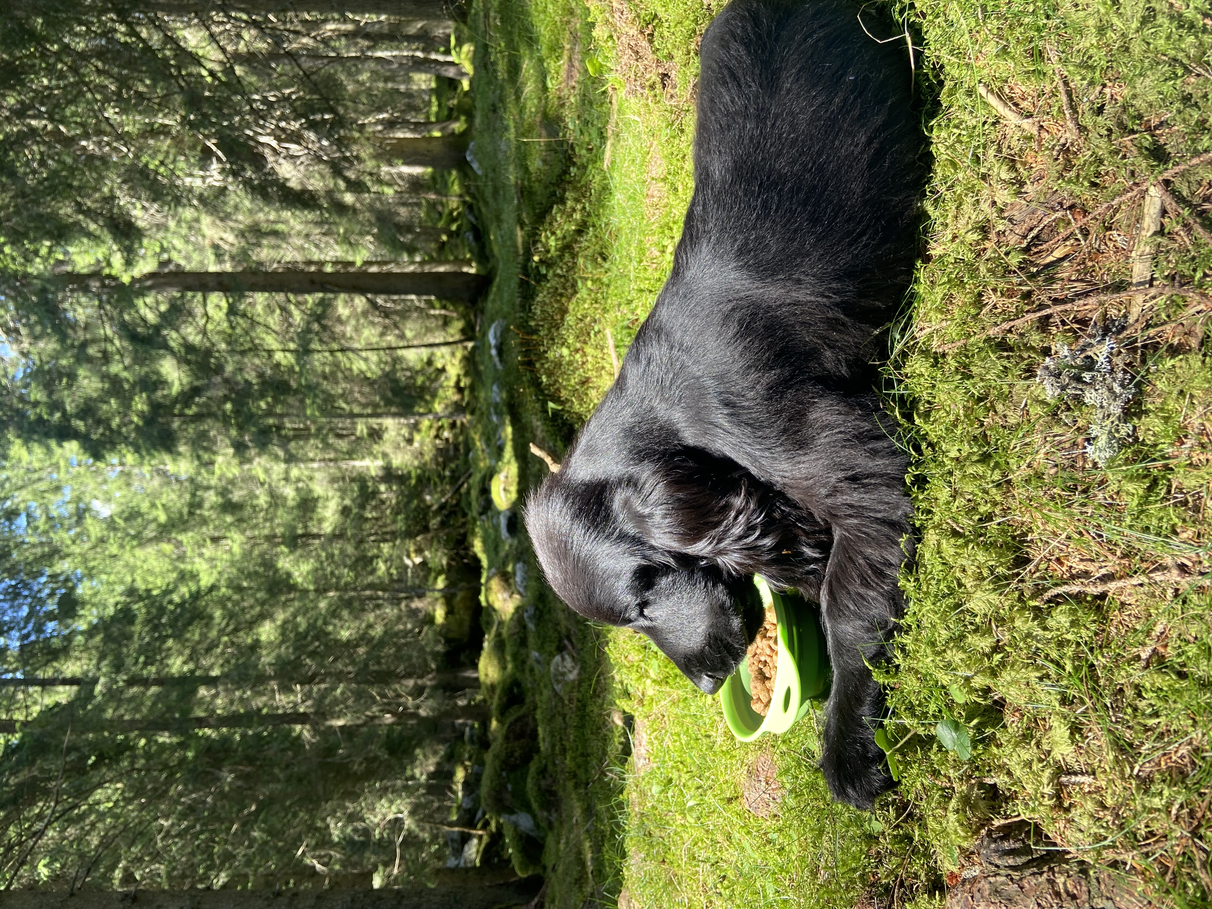 image-6