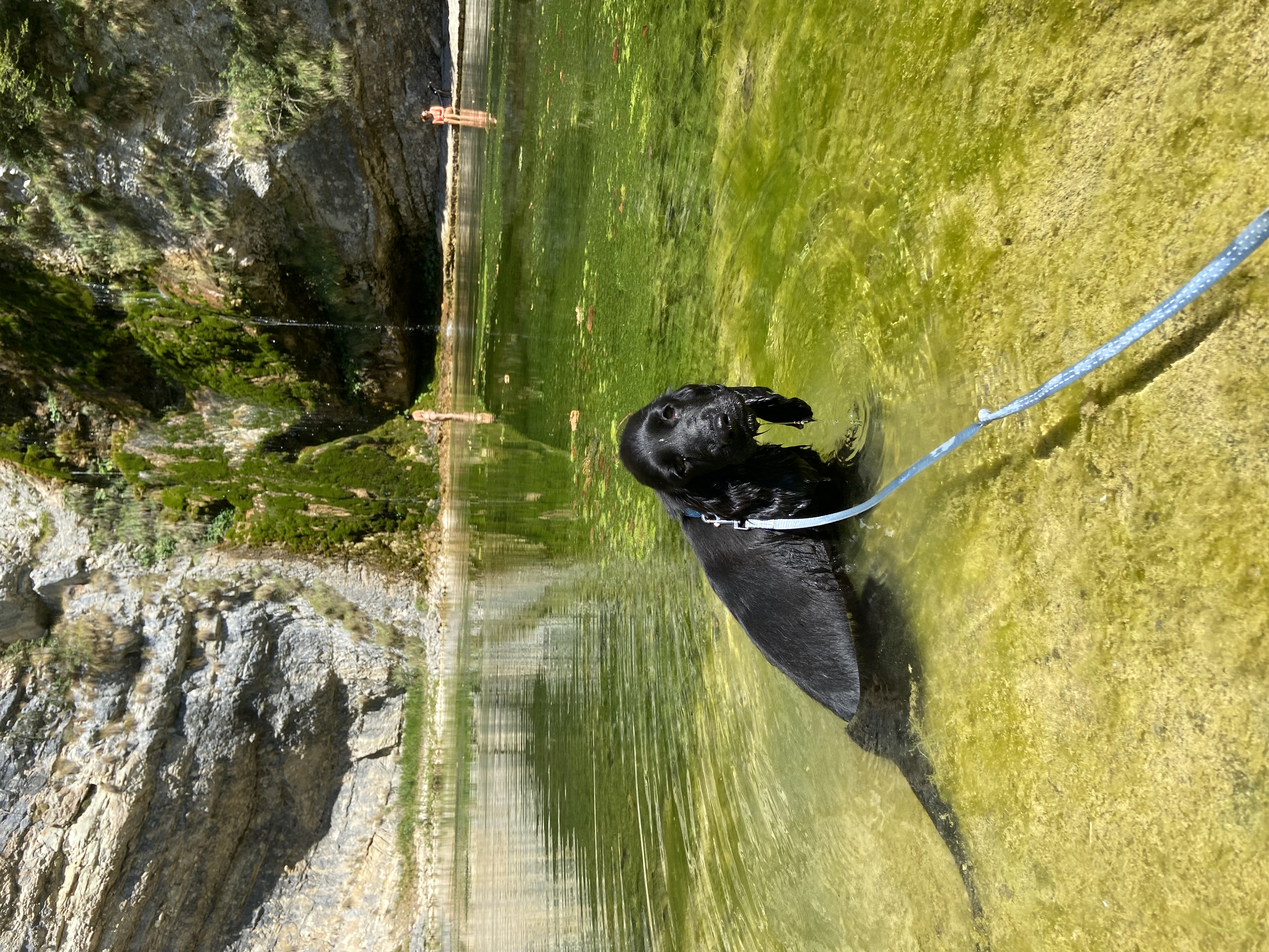 image-9