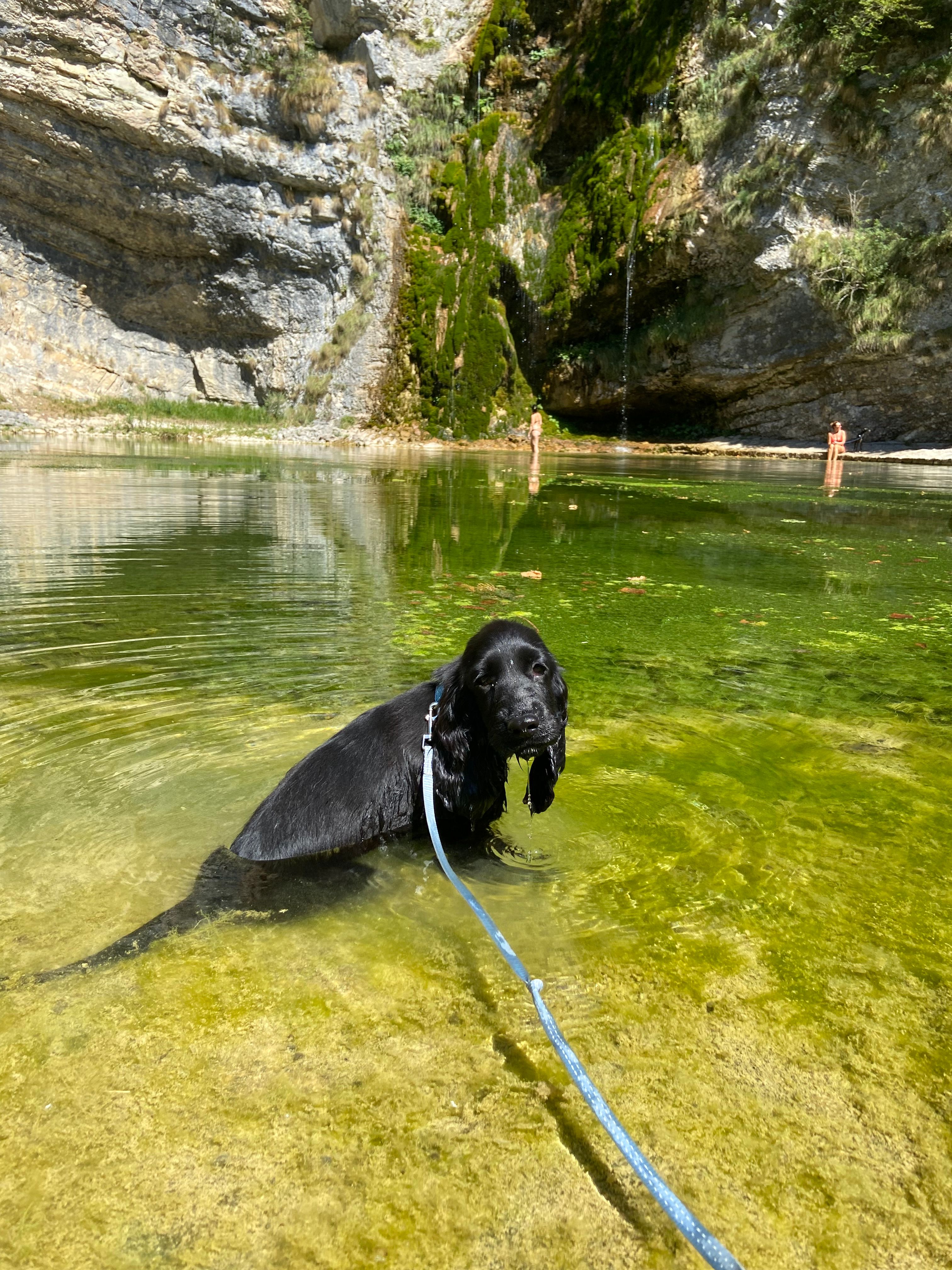 image-9
