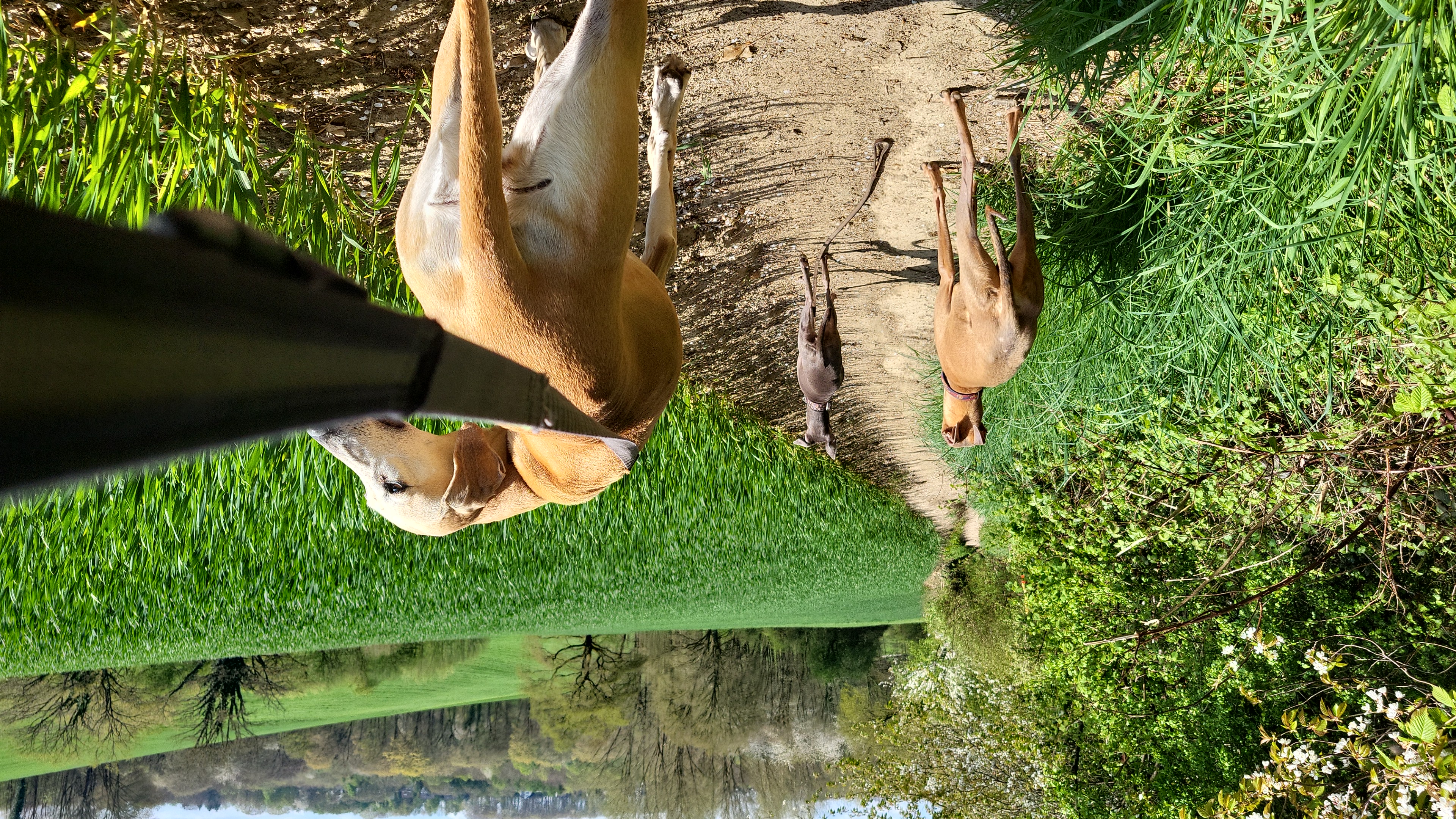 image-6