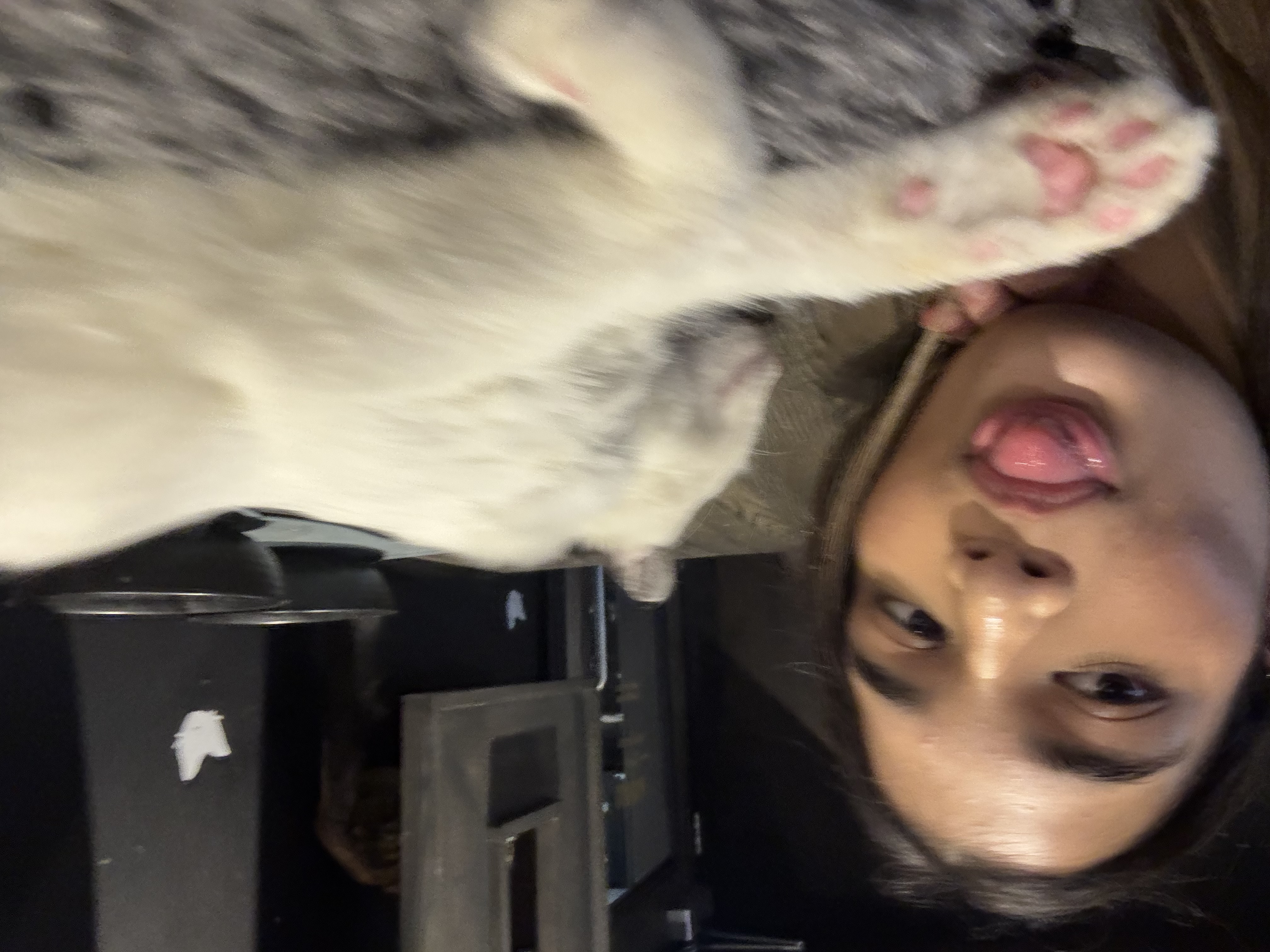 image-4