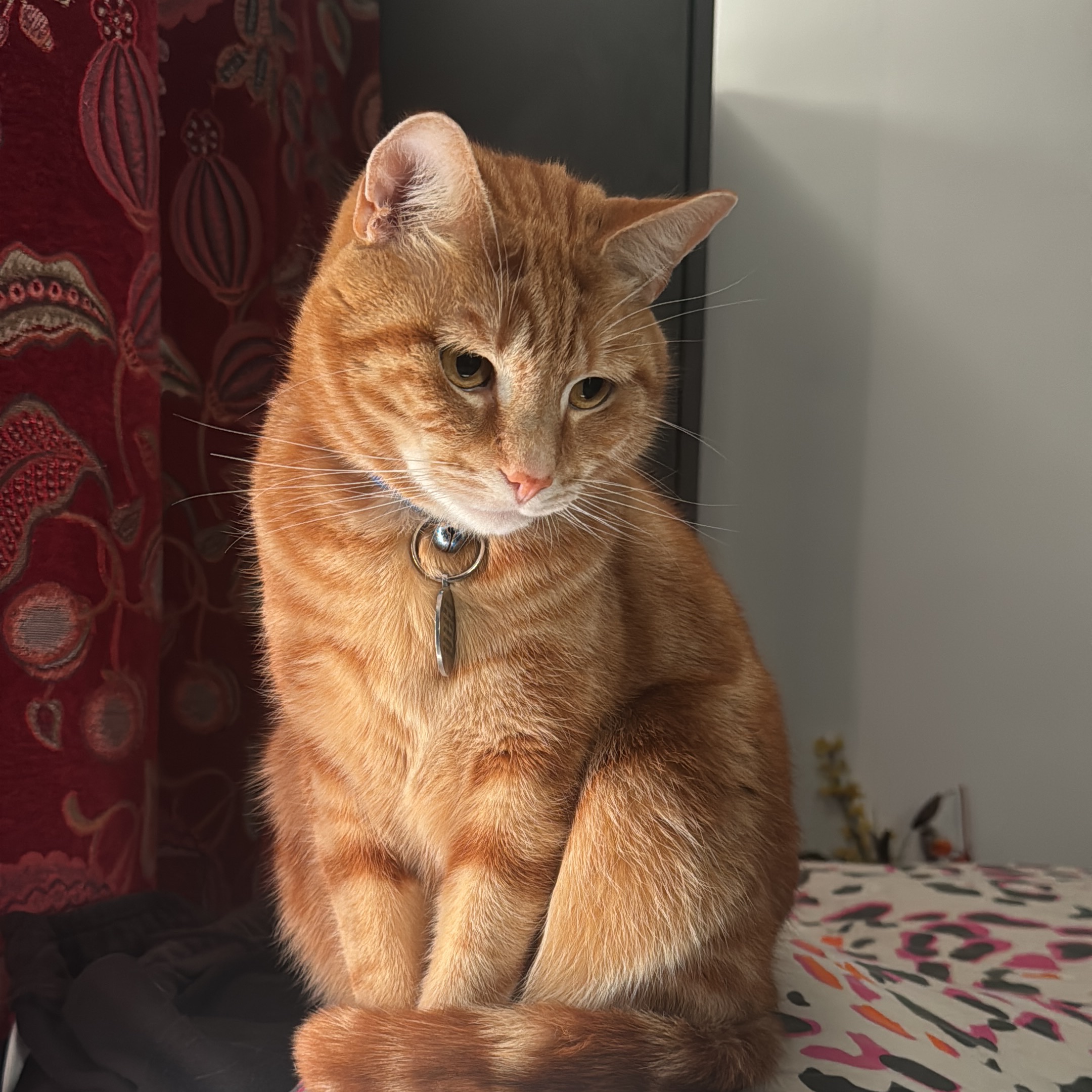 Romeo
