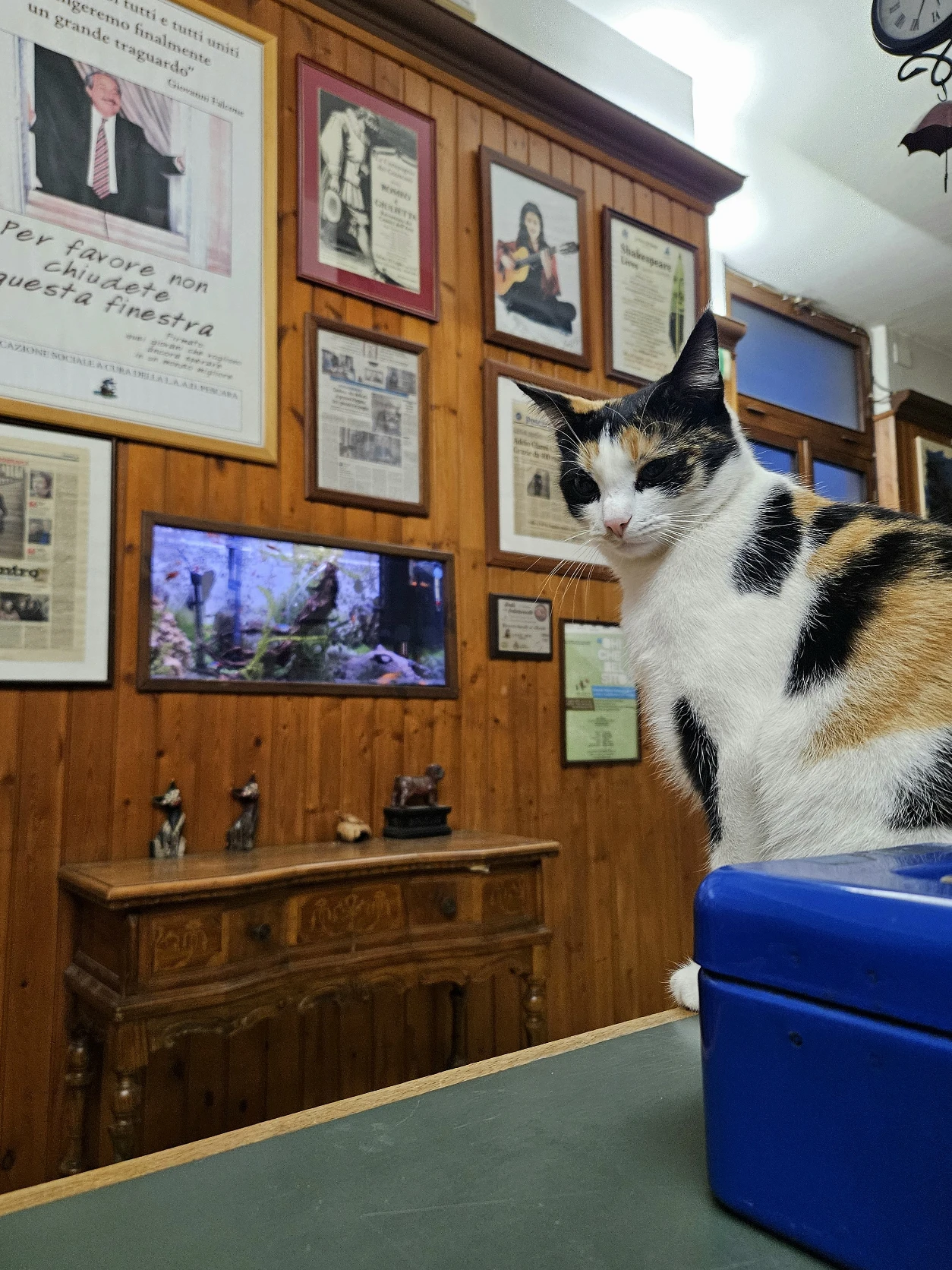 image-13