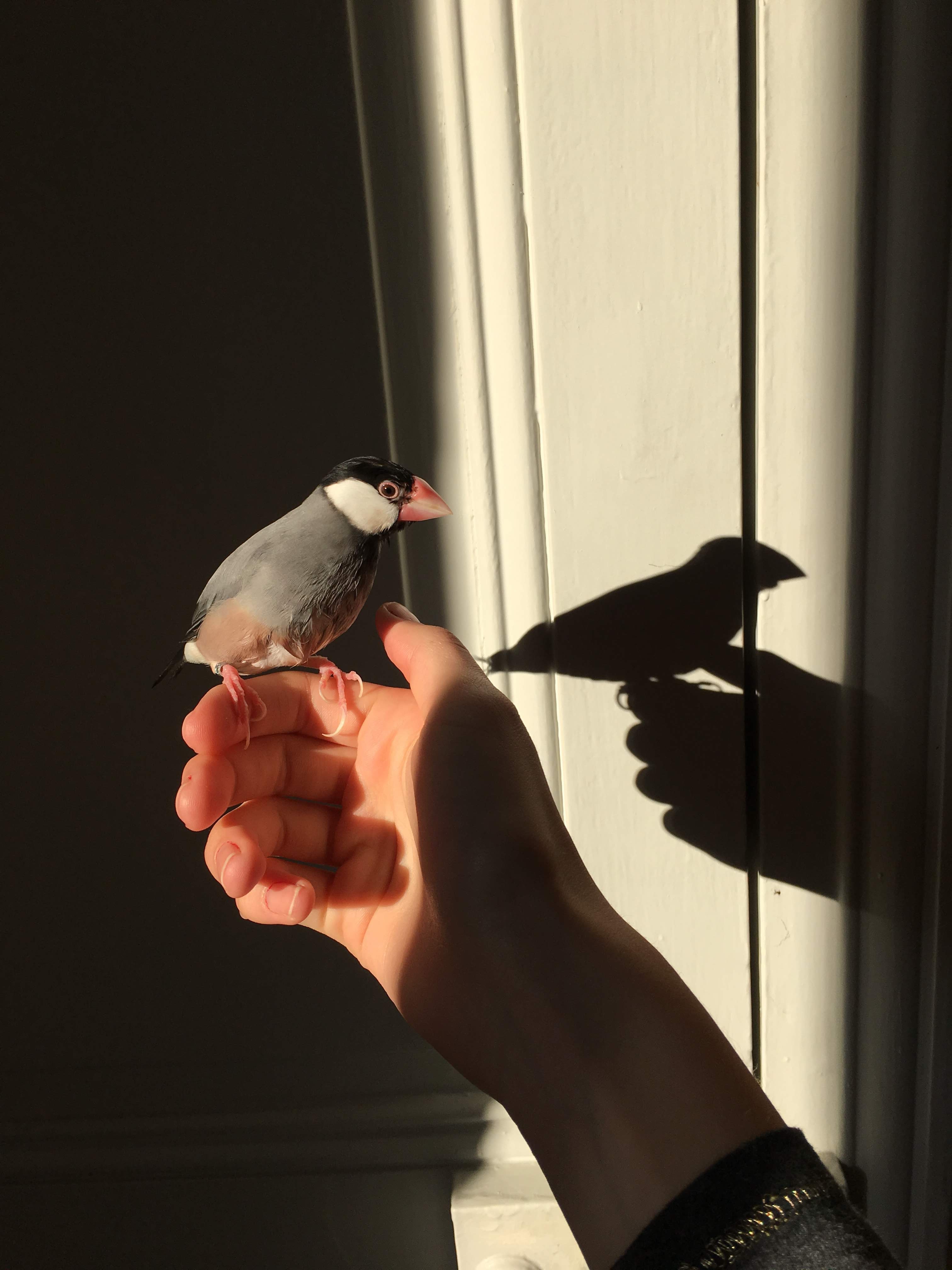 image-6