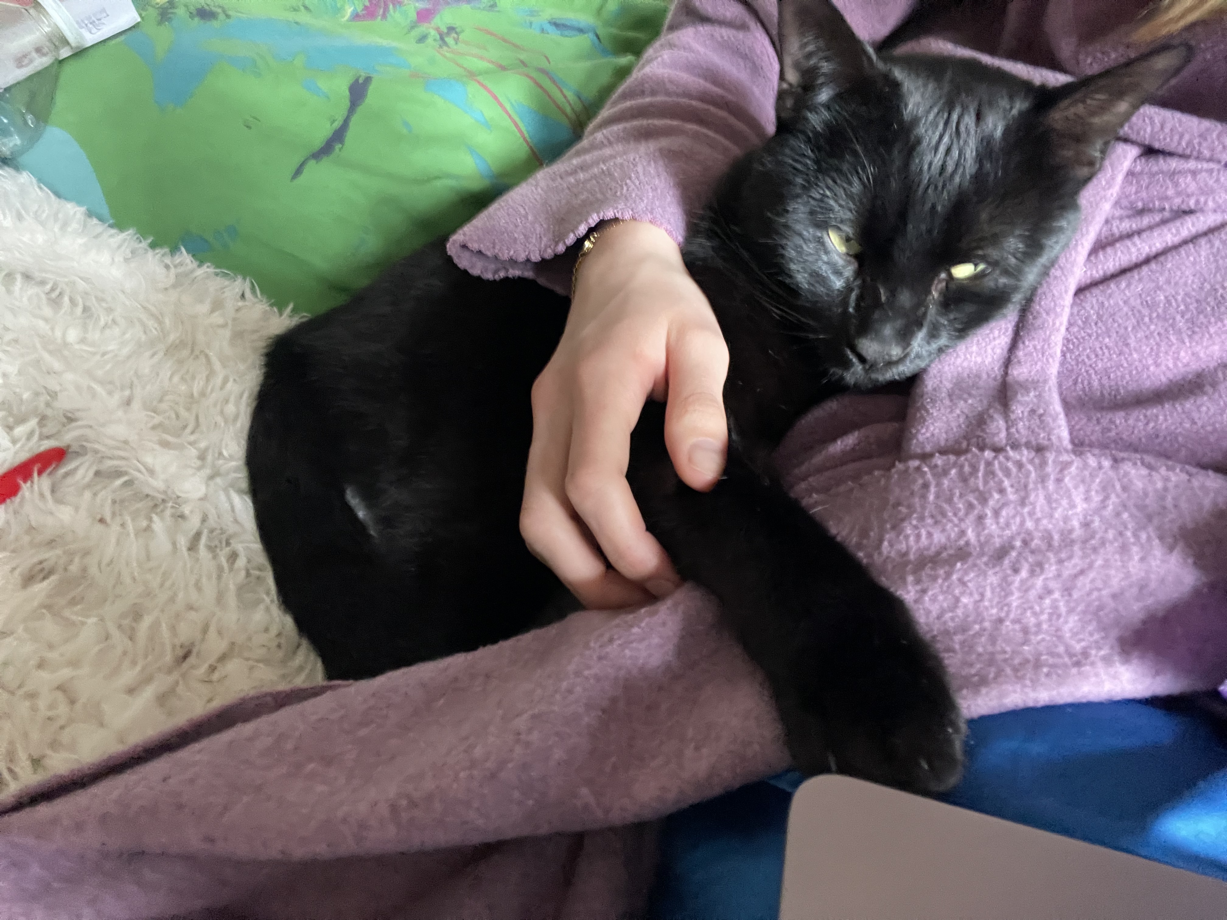 image-7