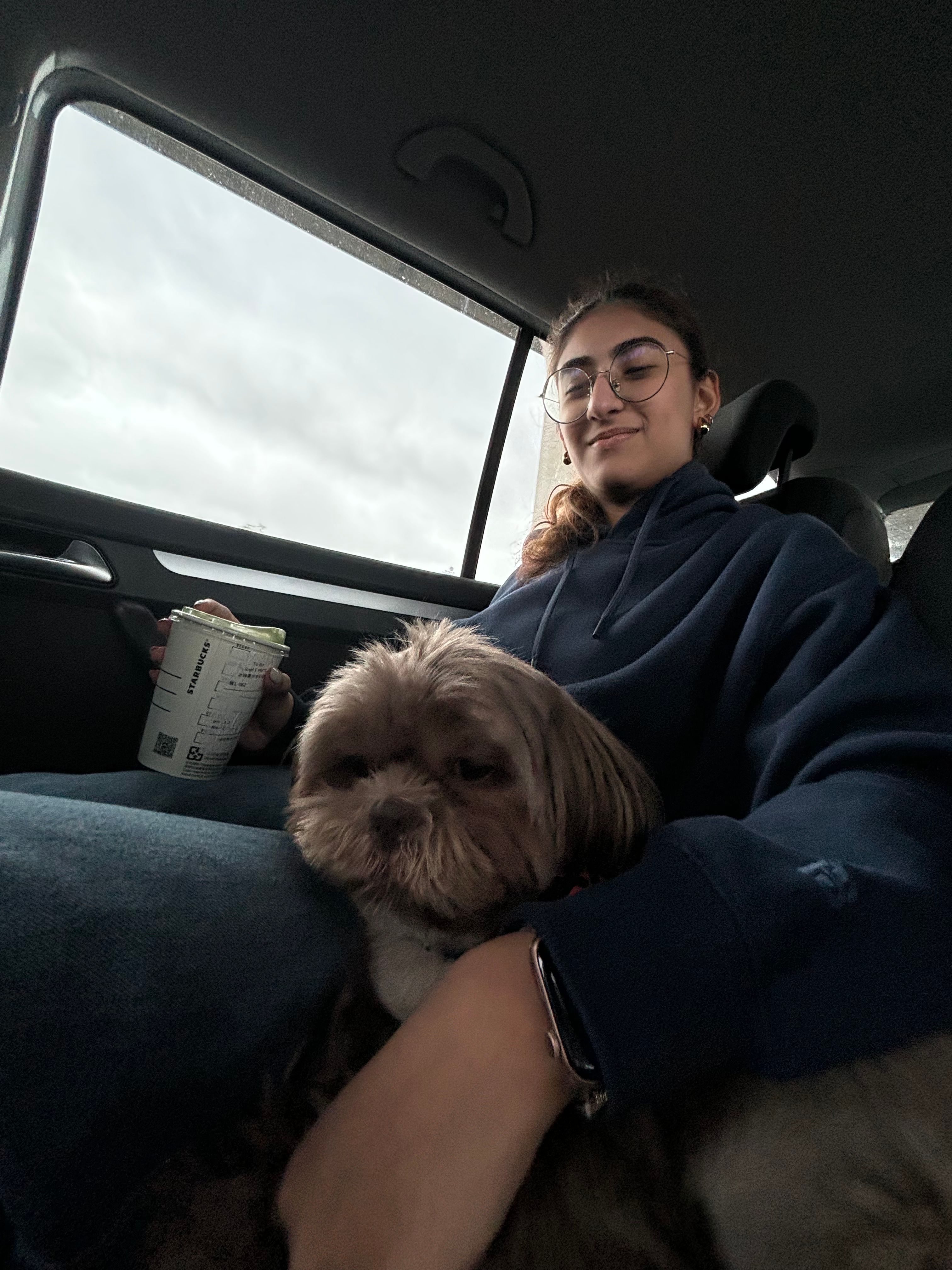 image-7