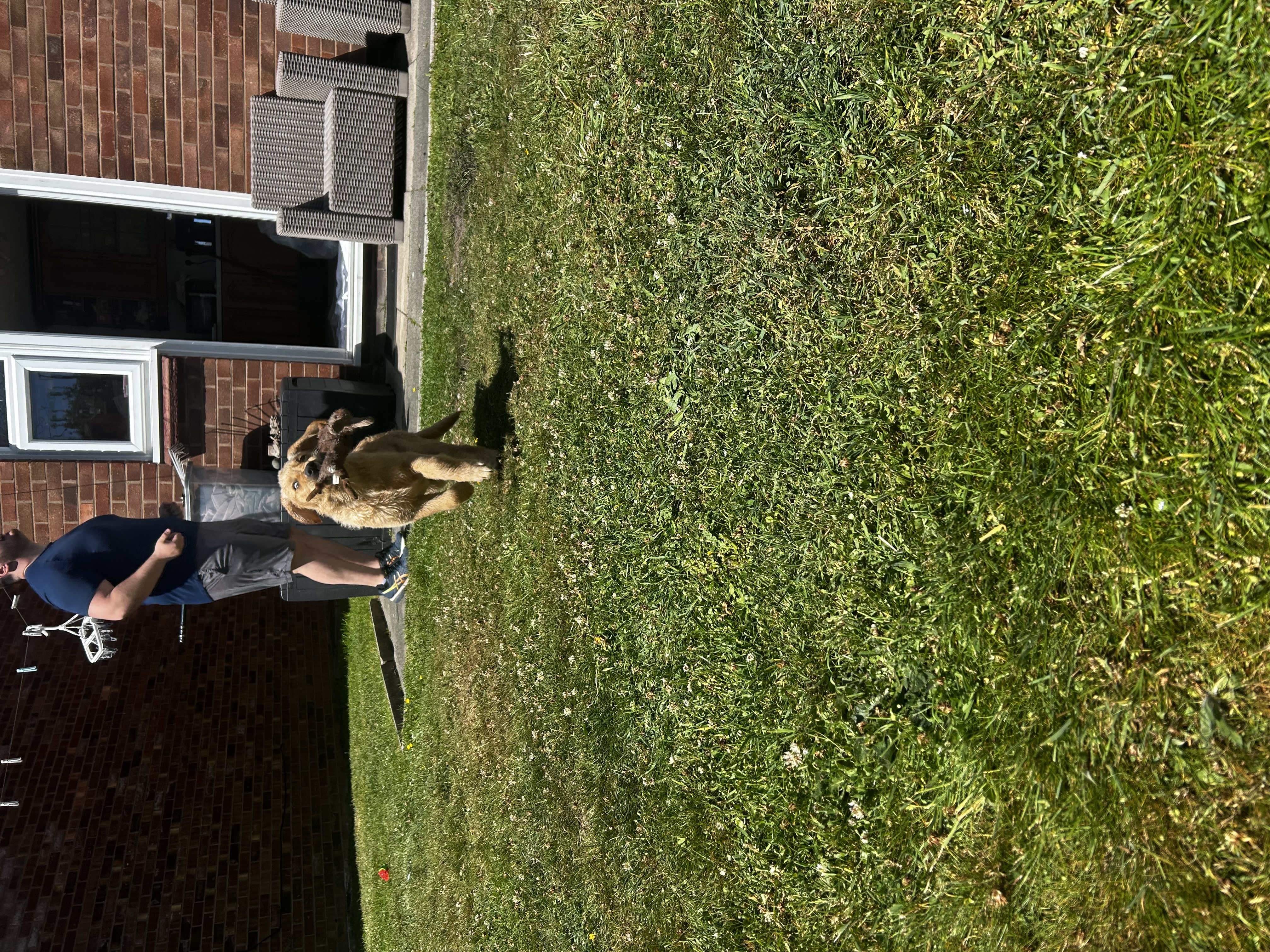 image-22
