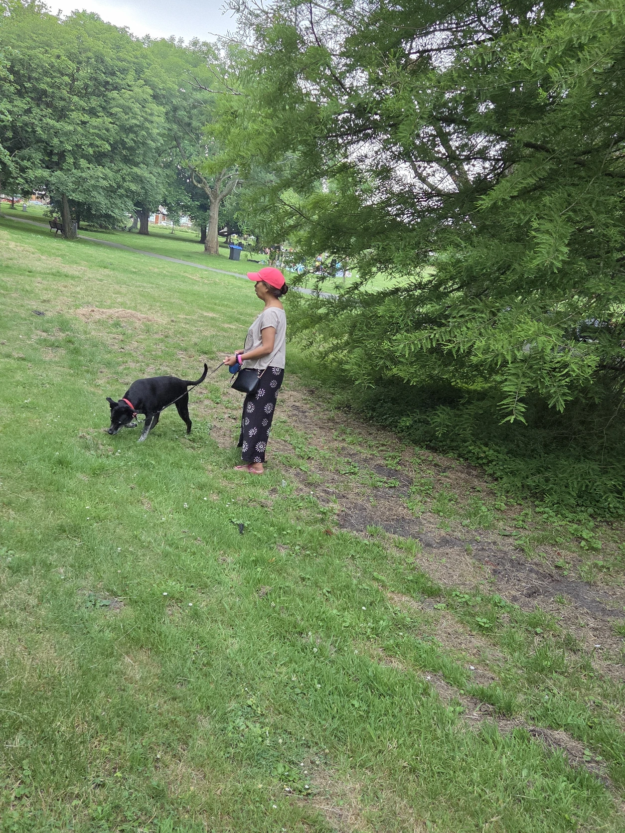 image-13
