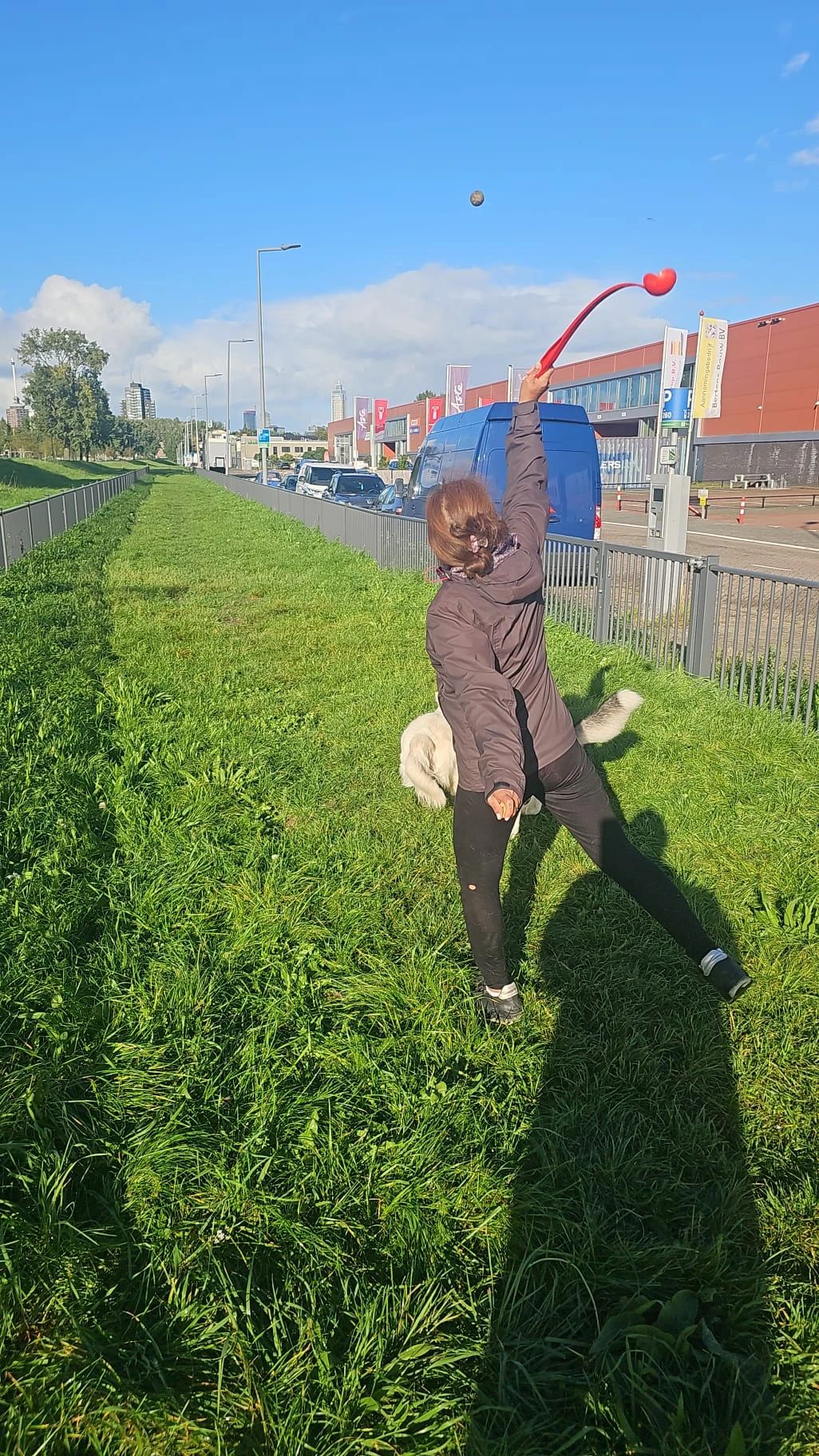 image-17