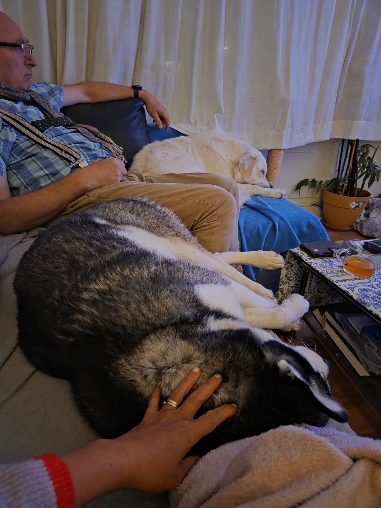 image-16