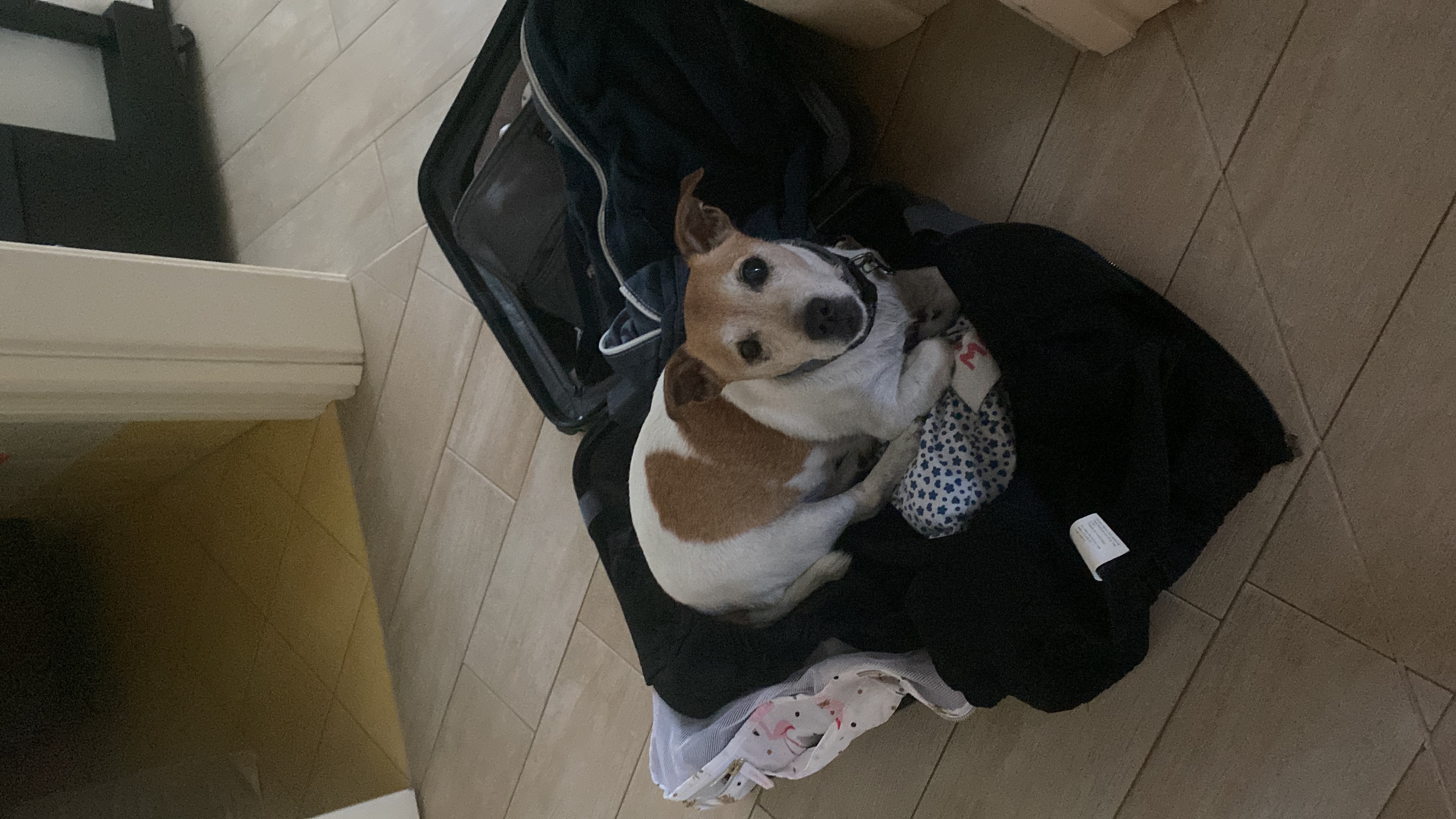 image-5