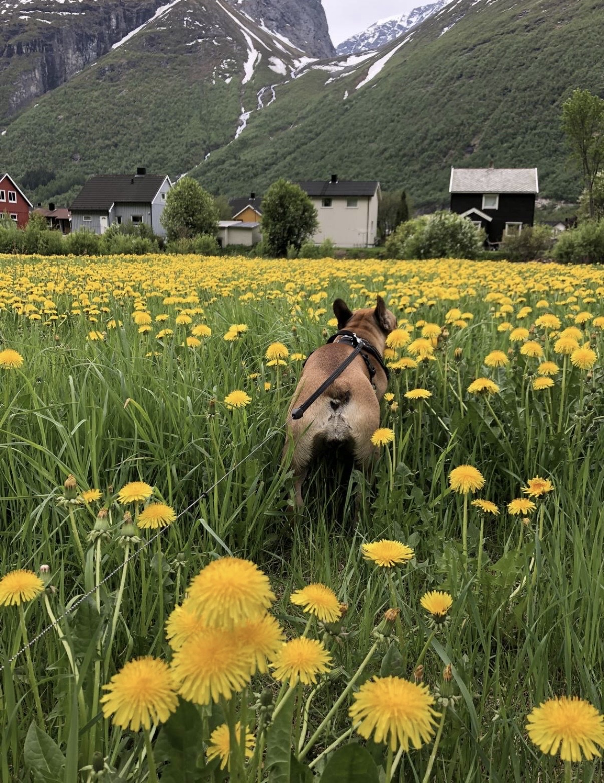 image-6