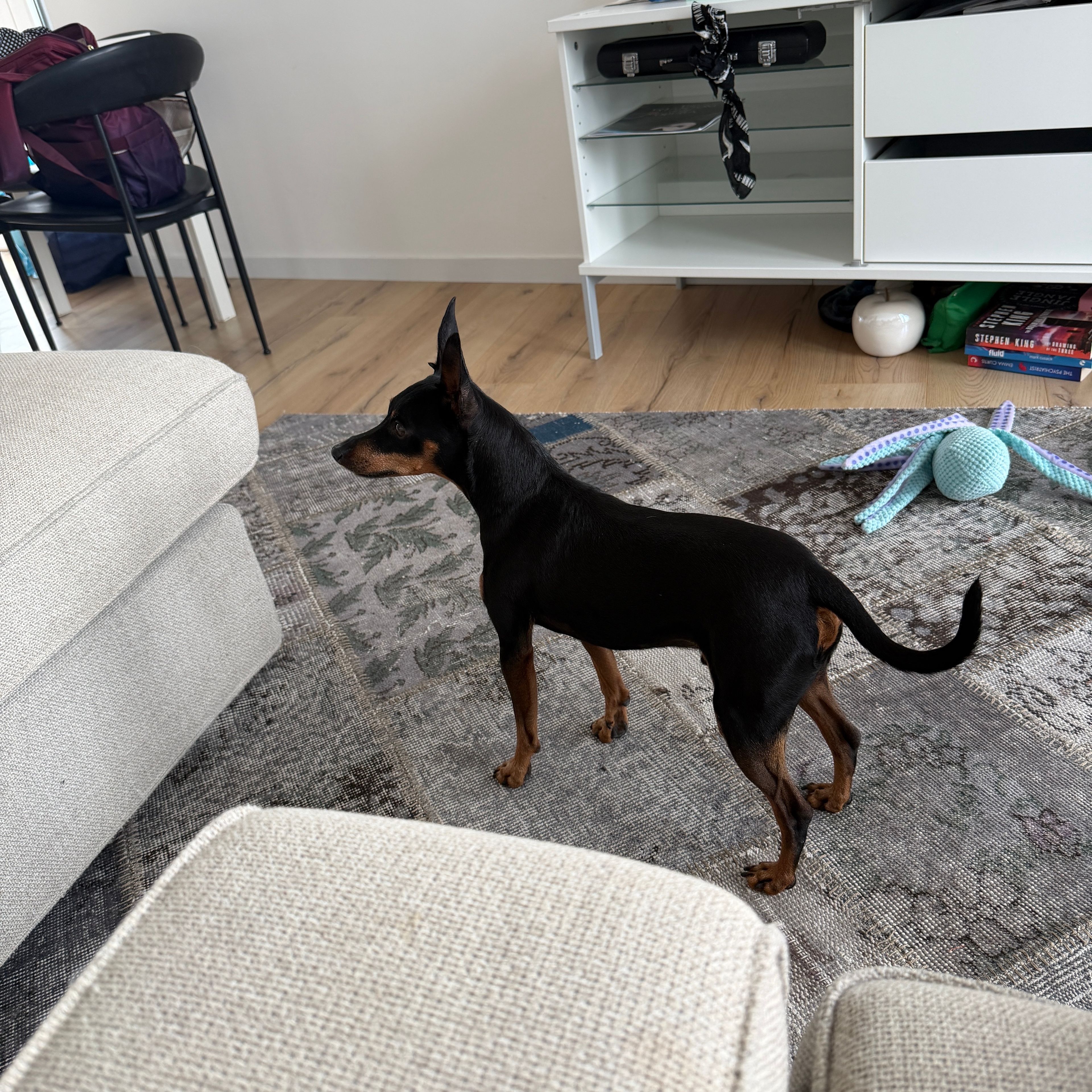 image-11