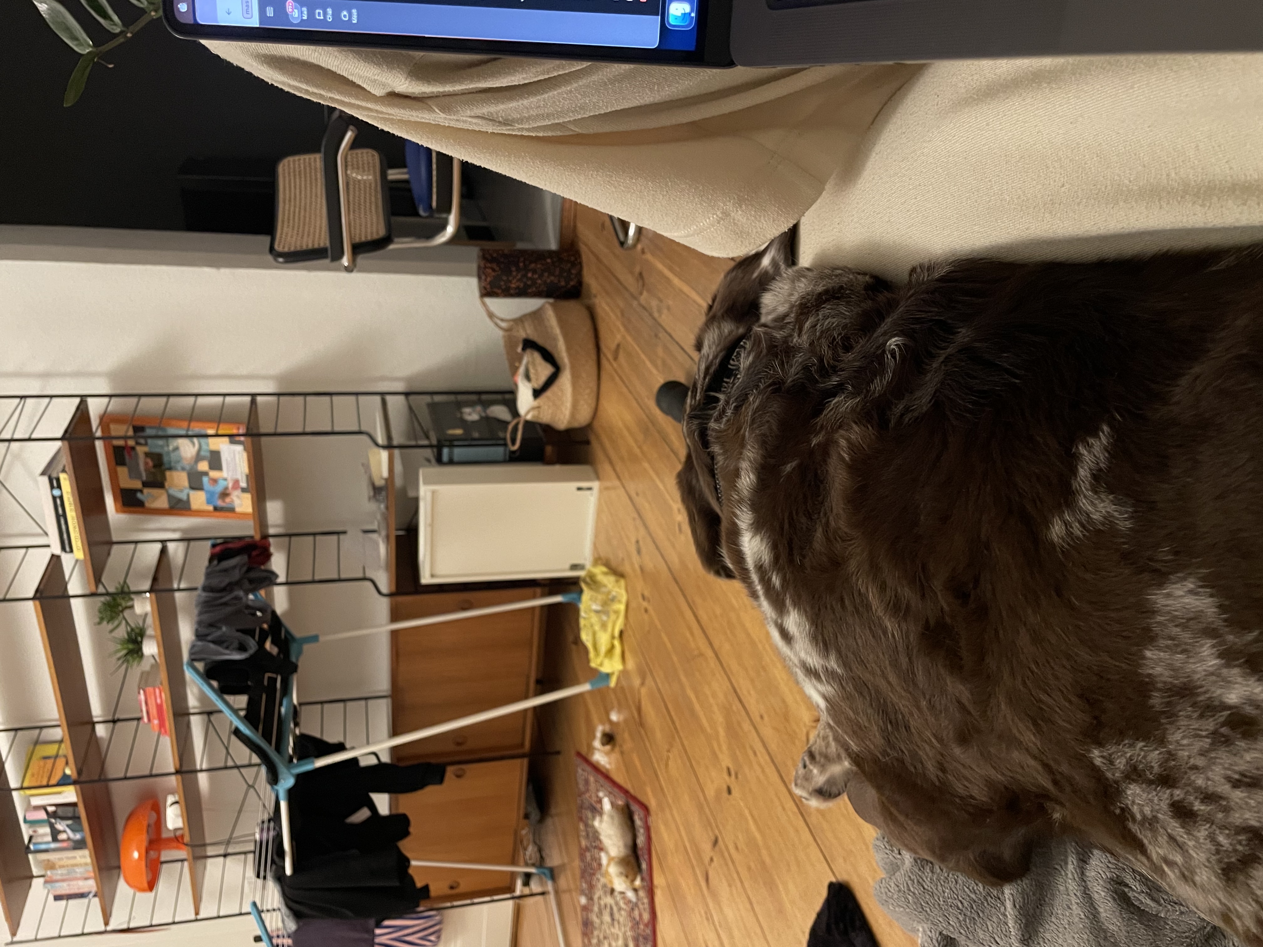 image-5