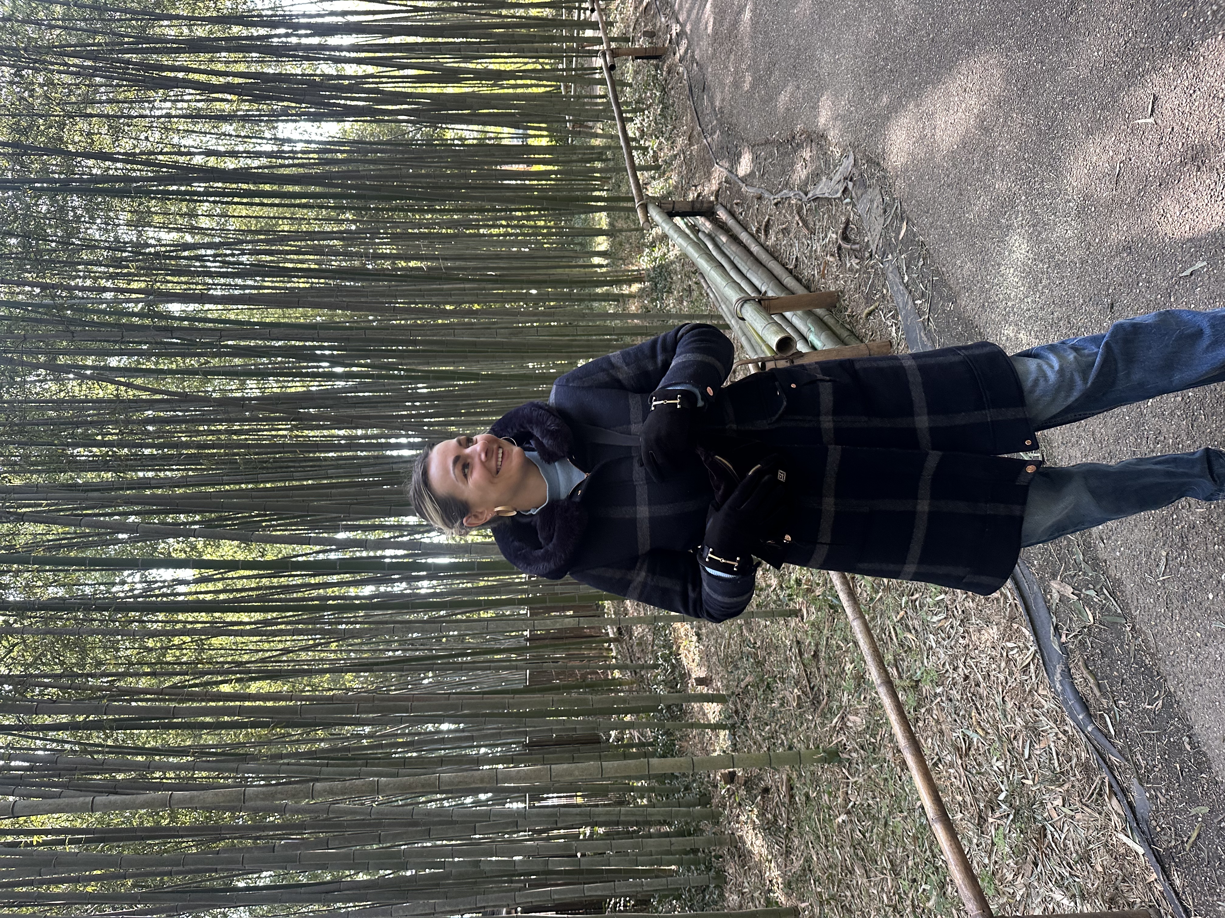image-8
