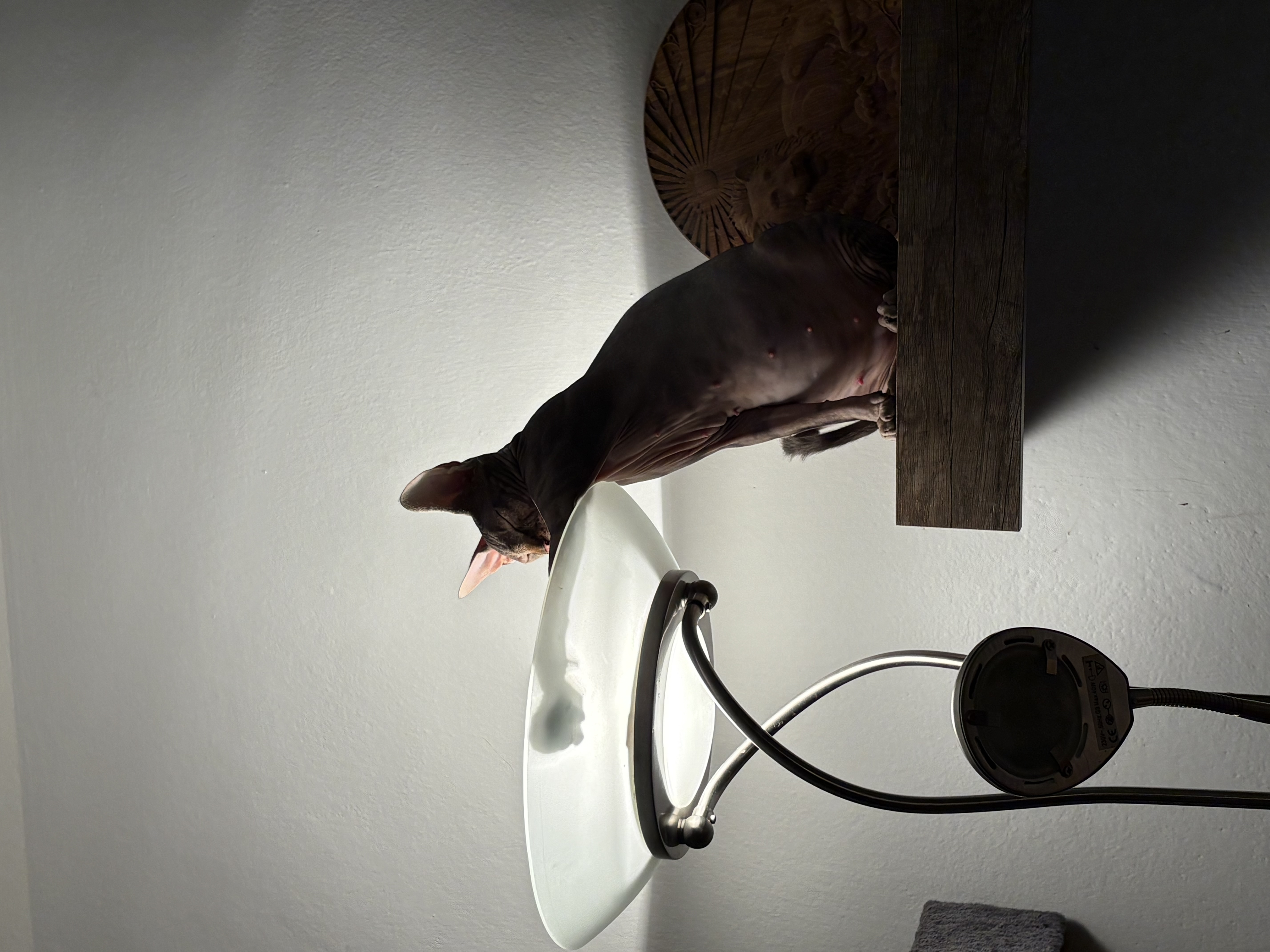 image-7