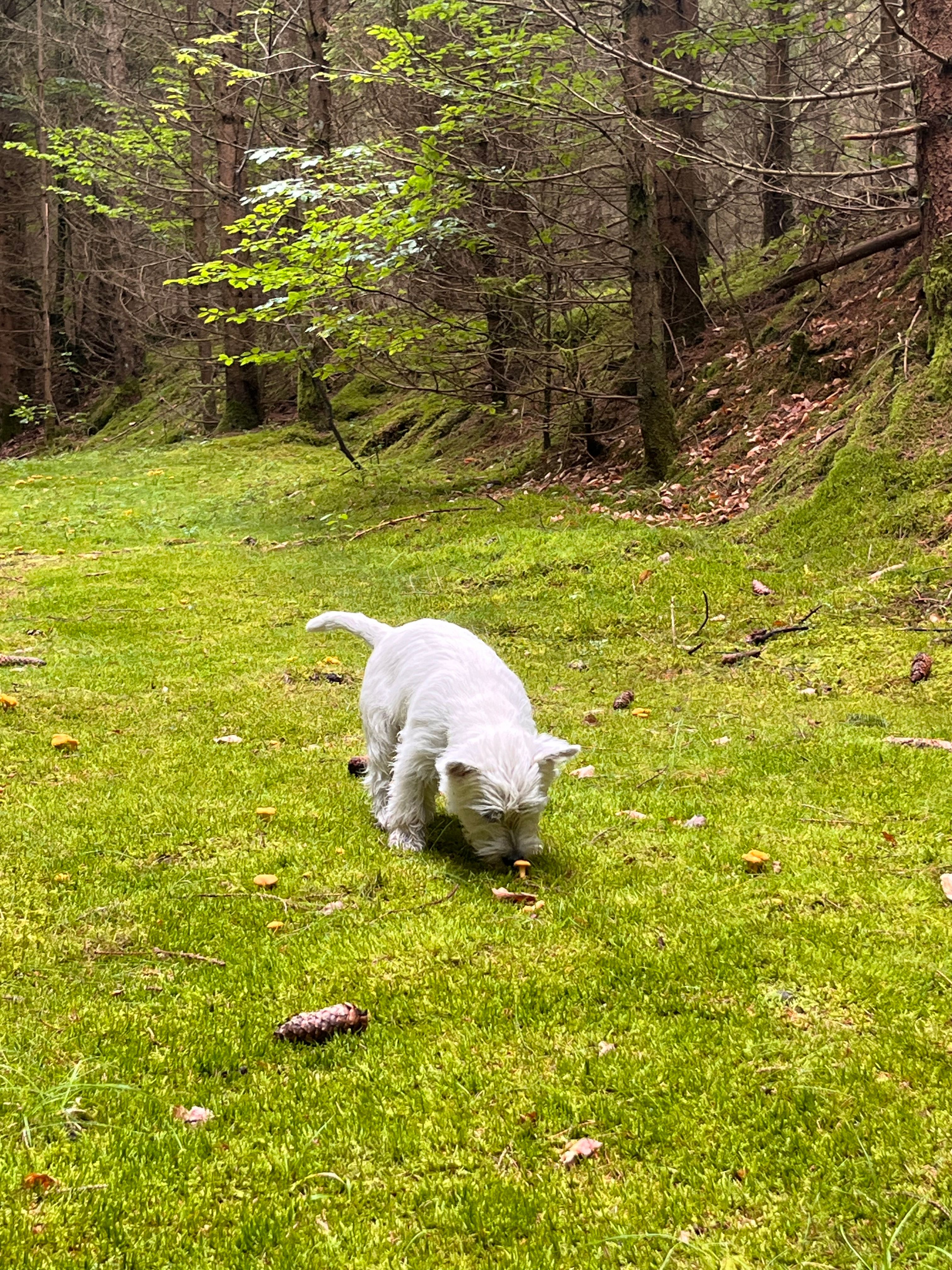 image-5