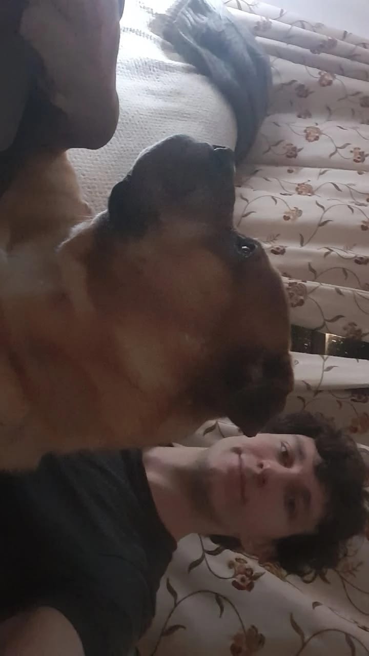image-7