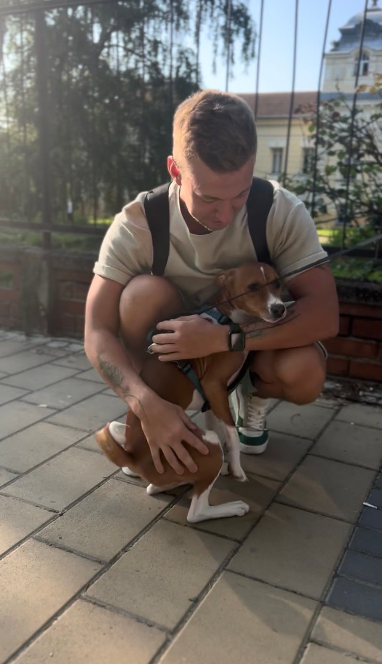 image-9