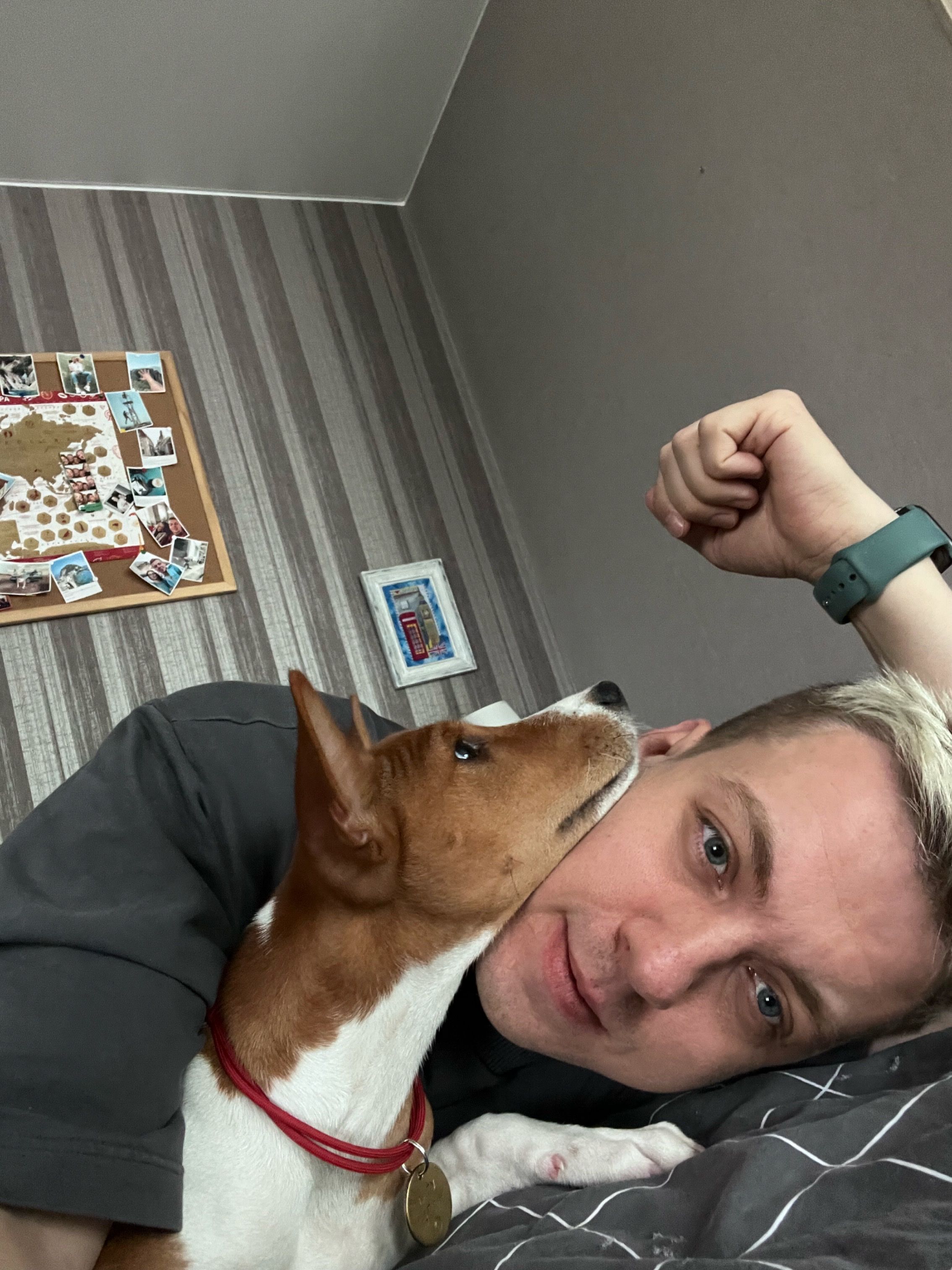 image-6