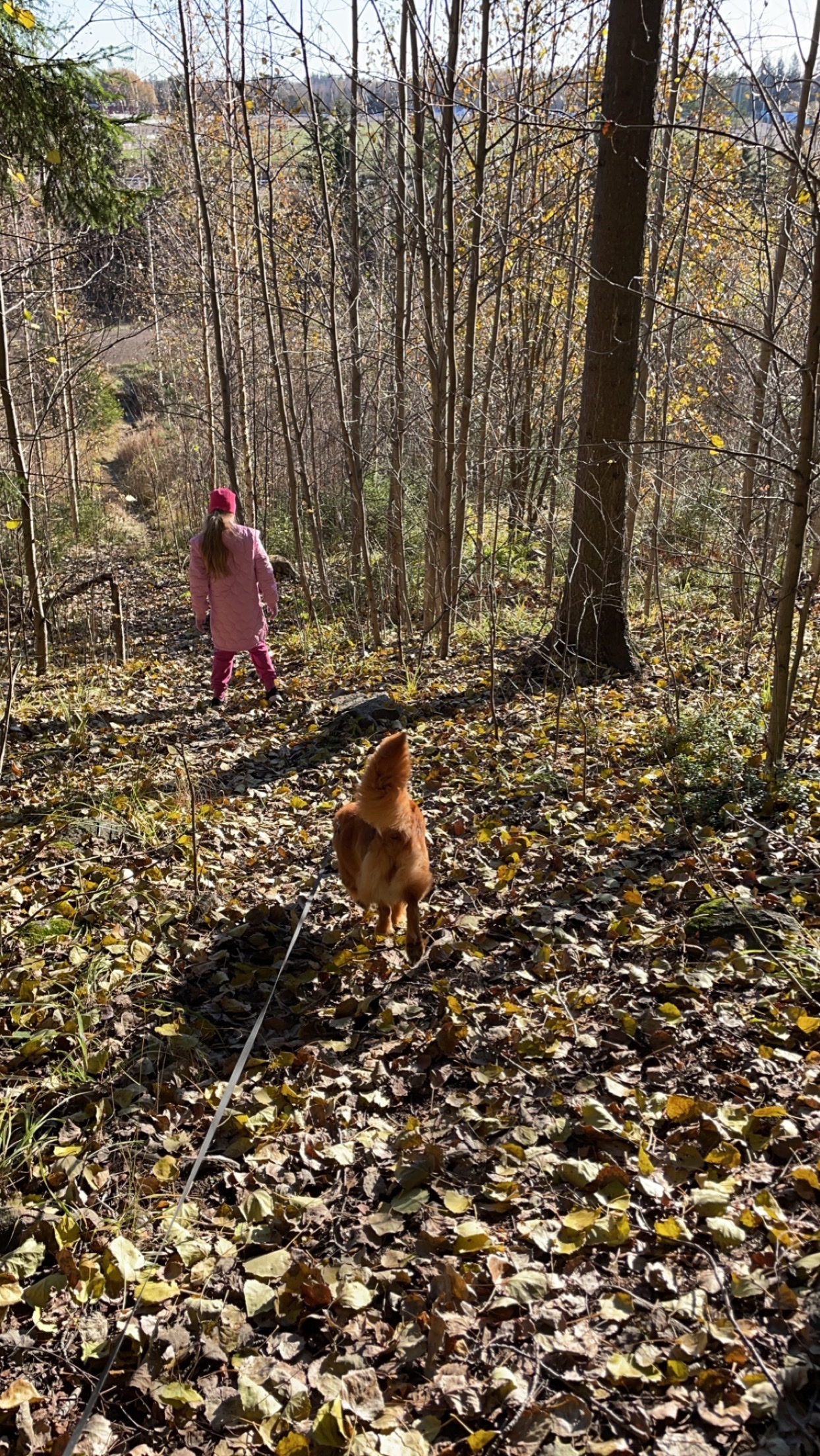 image-9