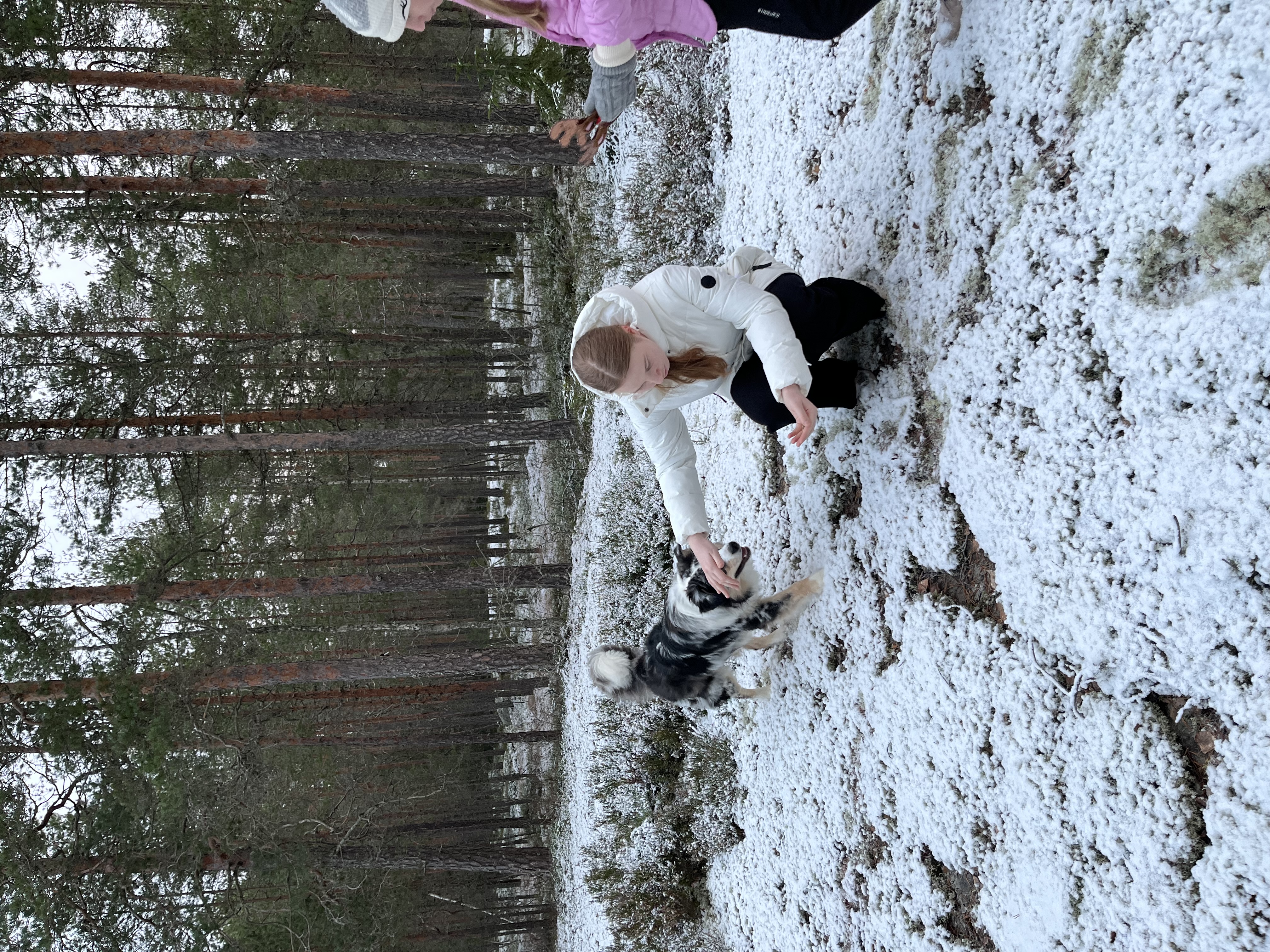 image-10