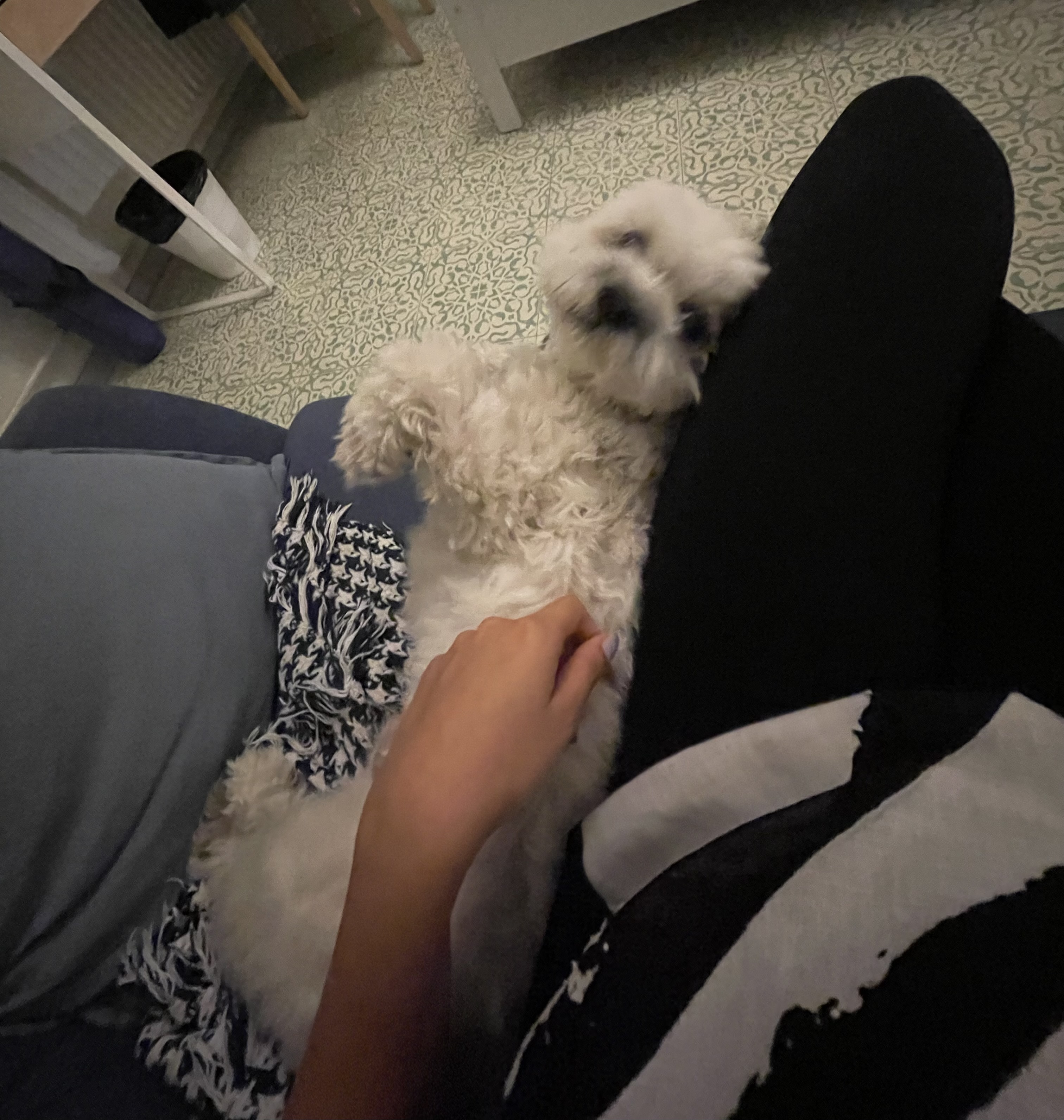 image-8