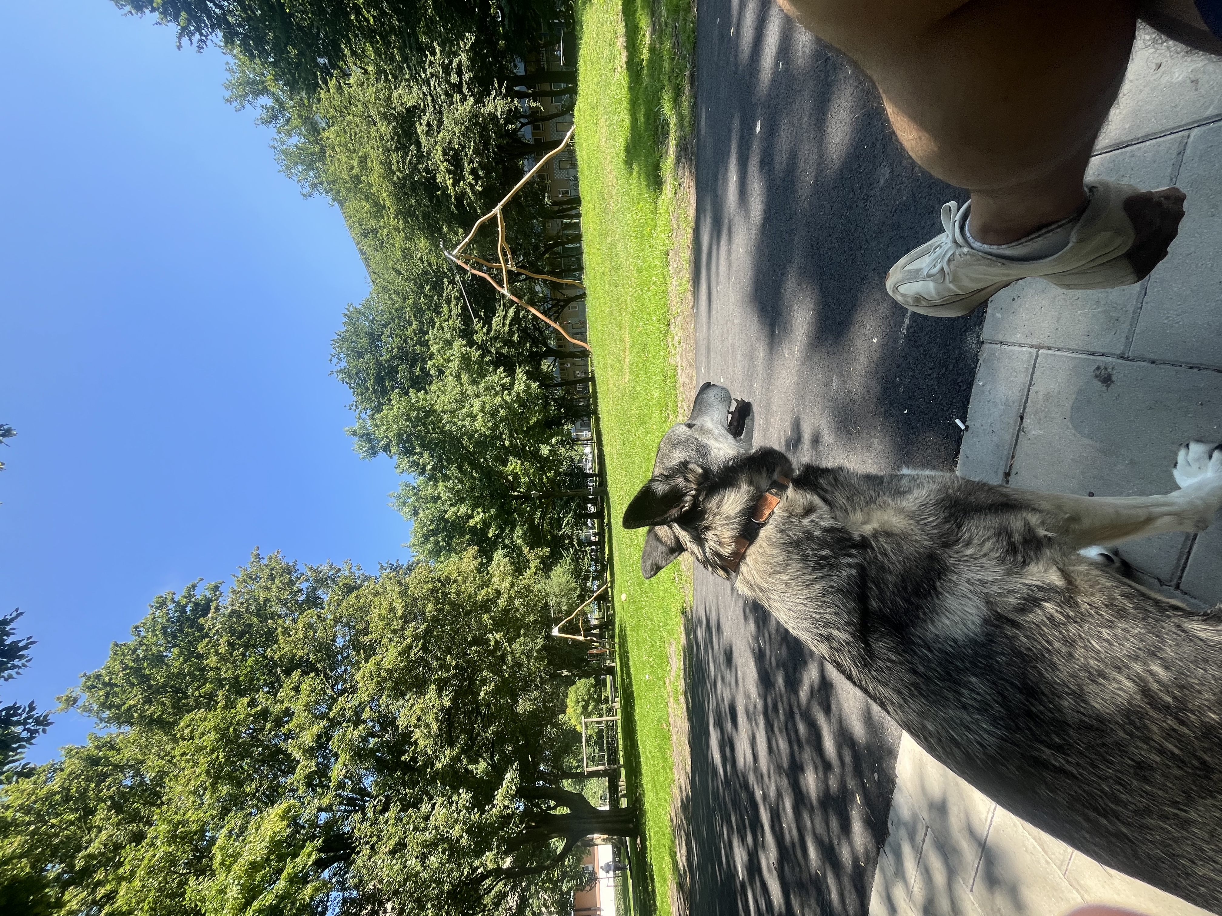 image-16