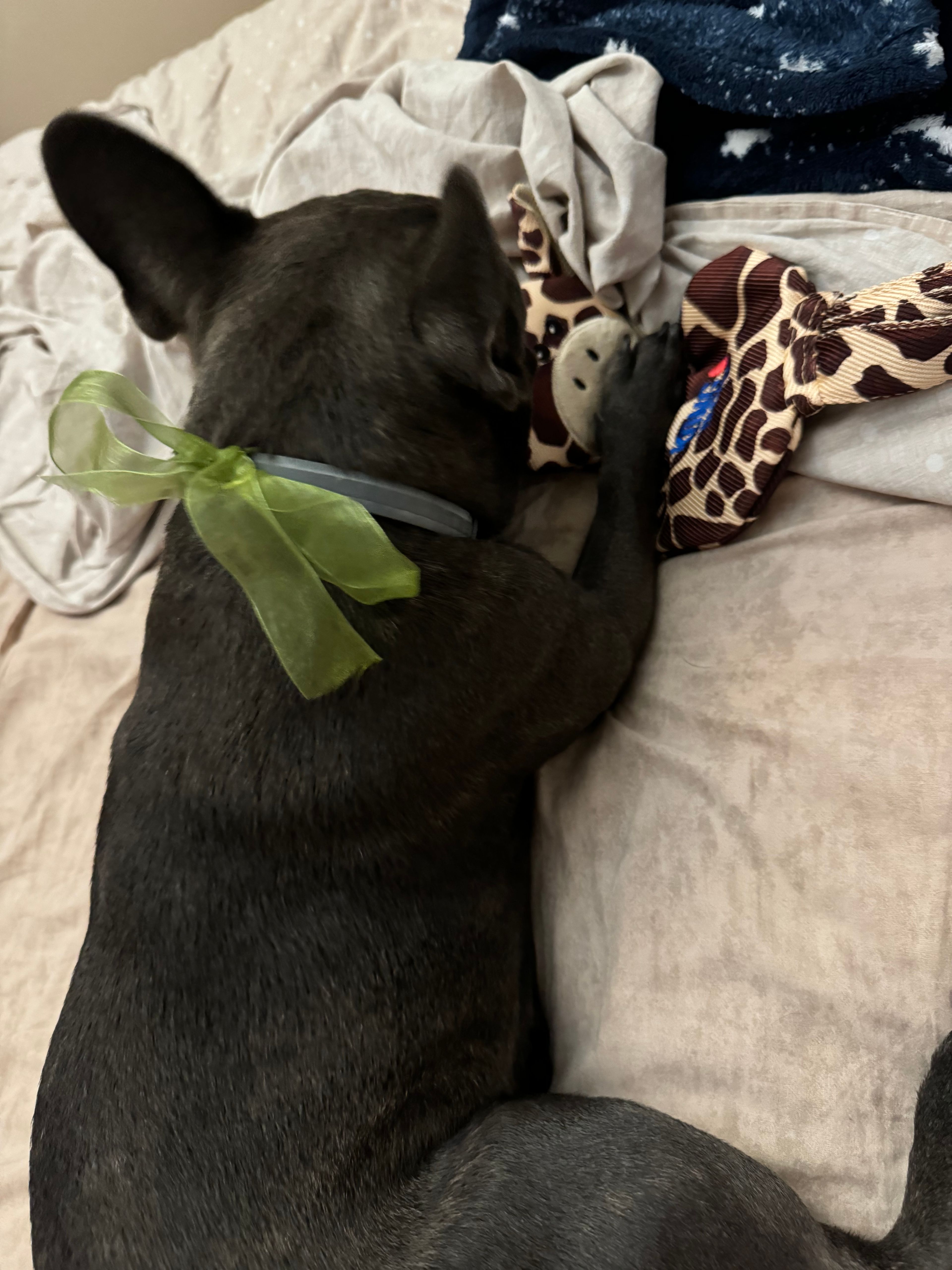 image-6
