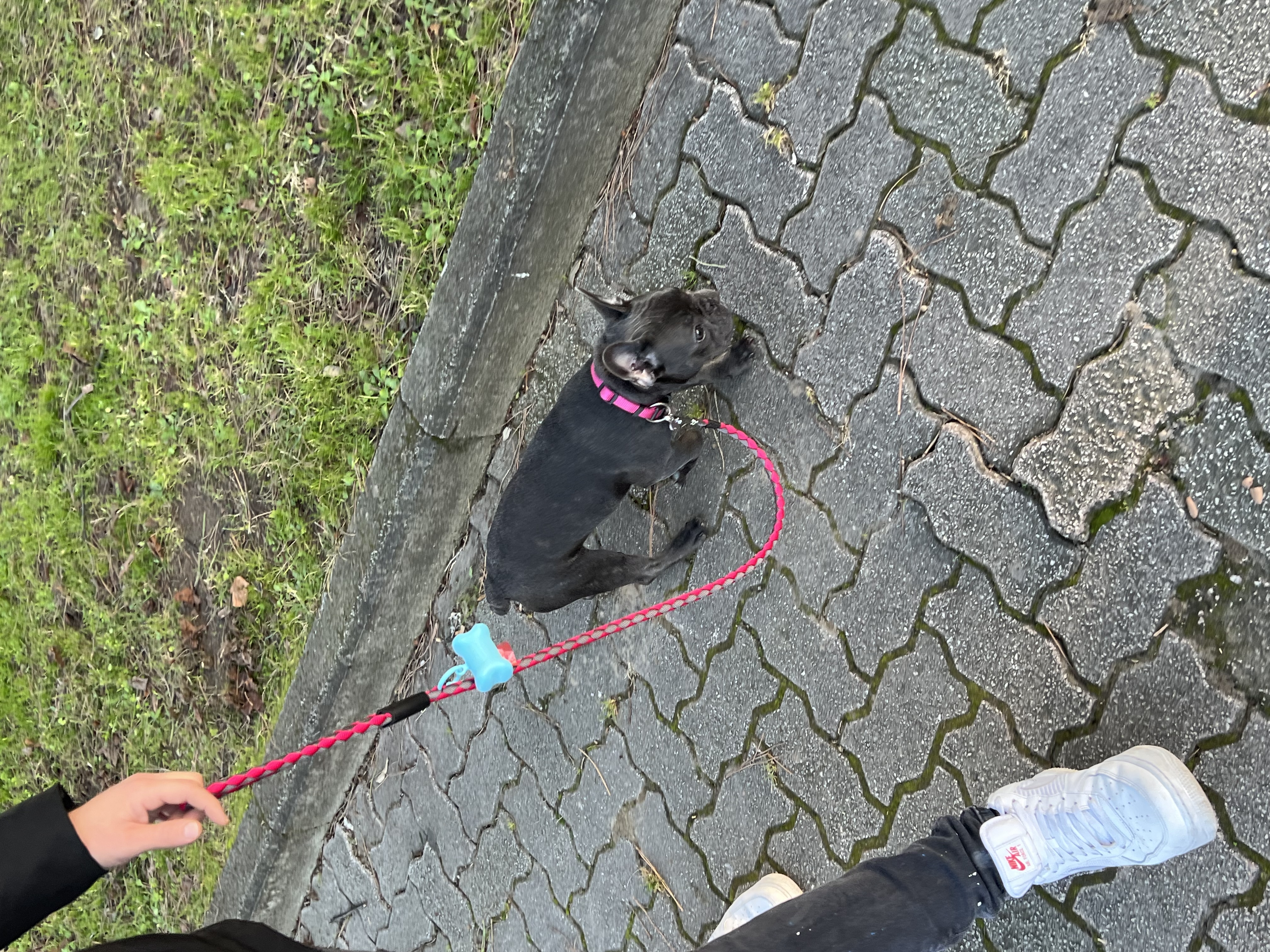 image-5