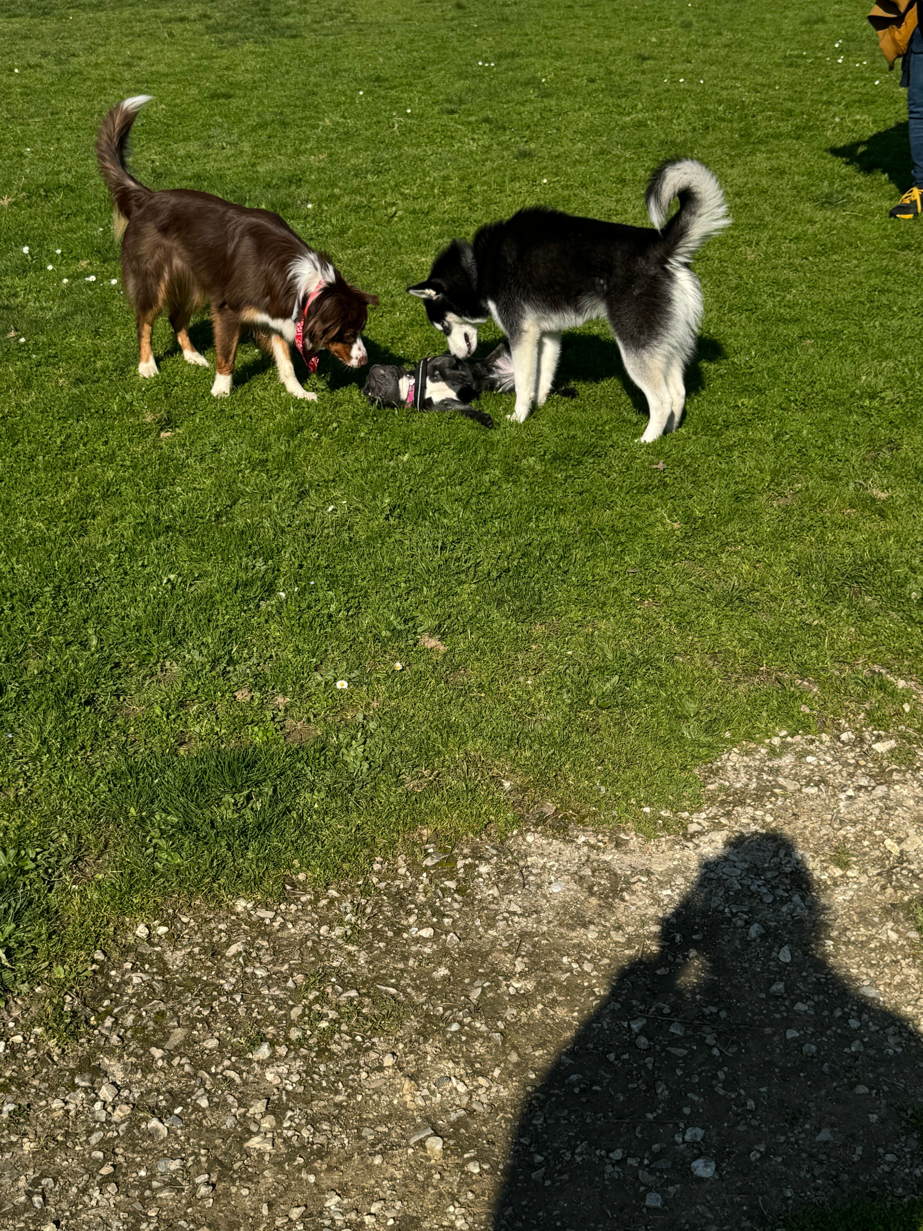 image-7