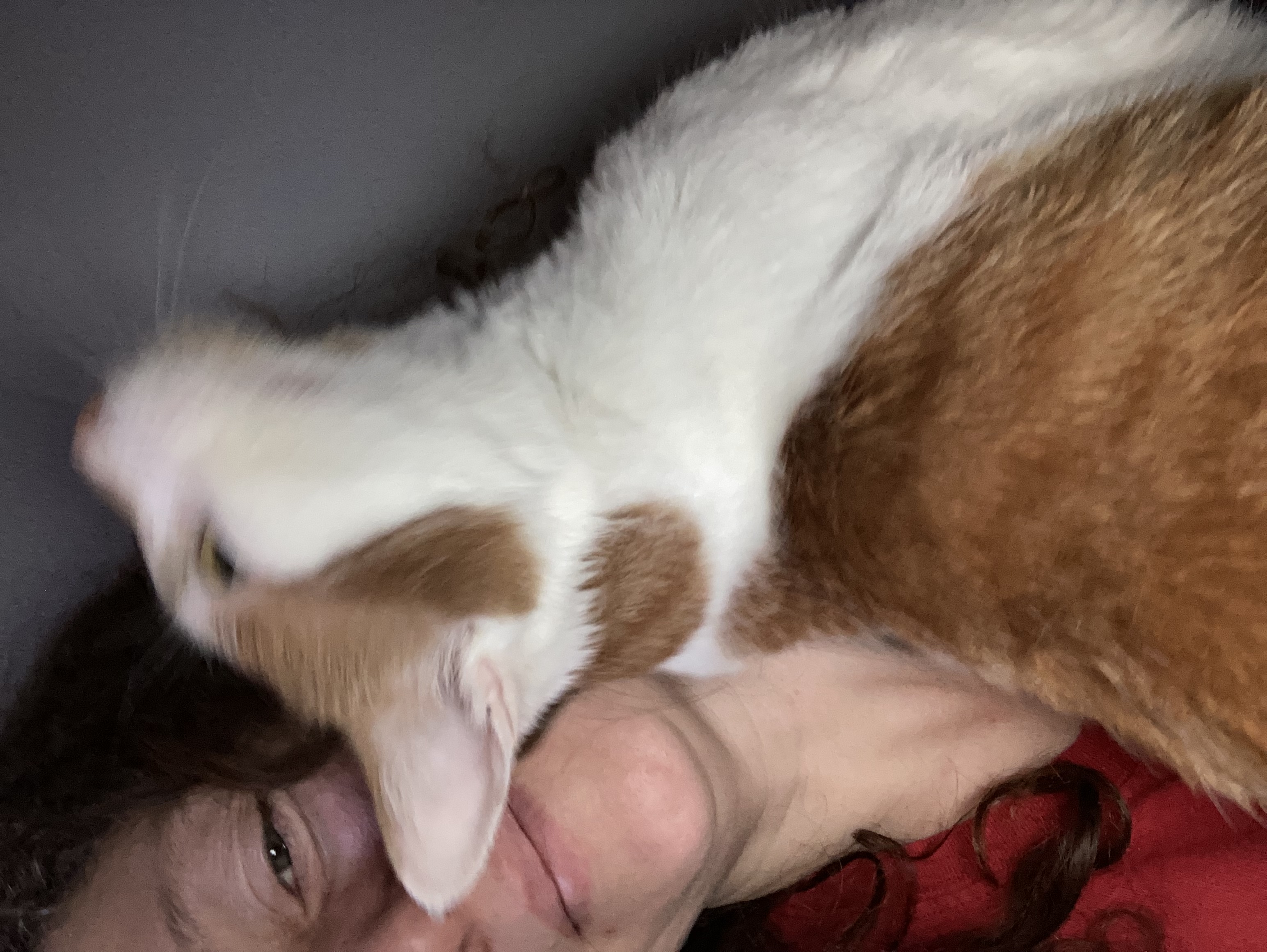image-6