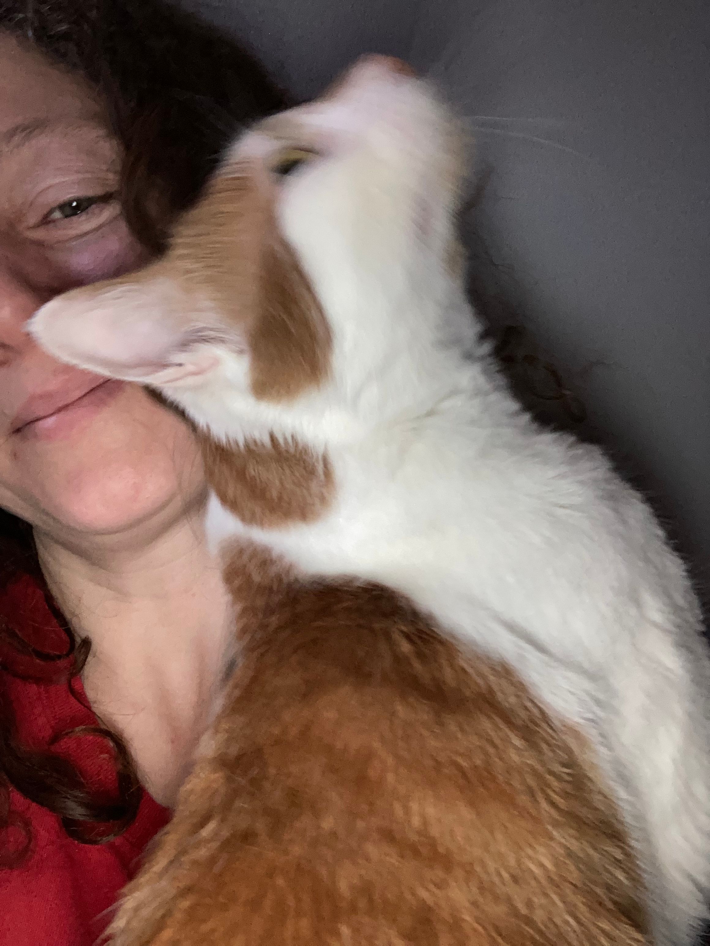 image-6