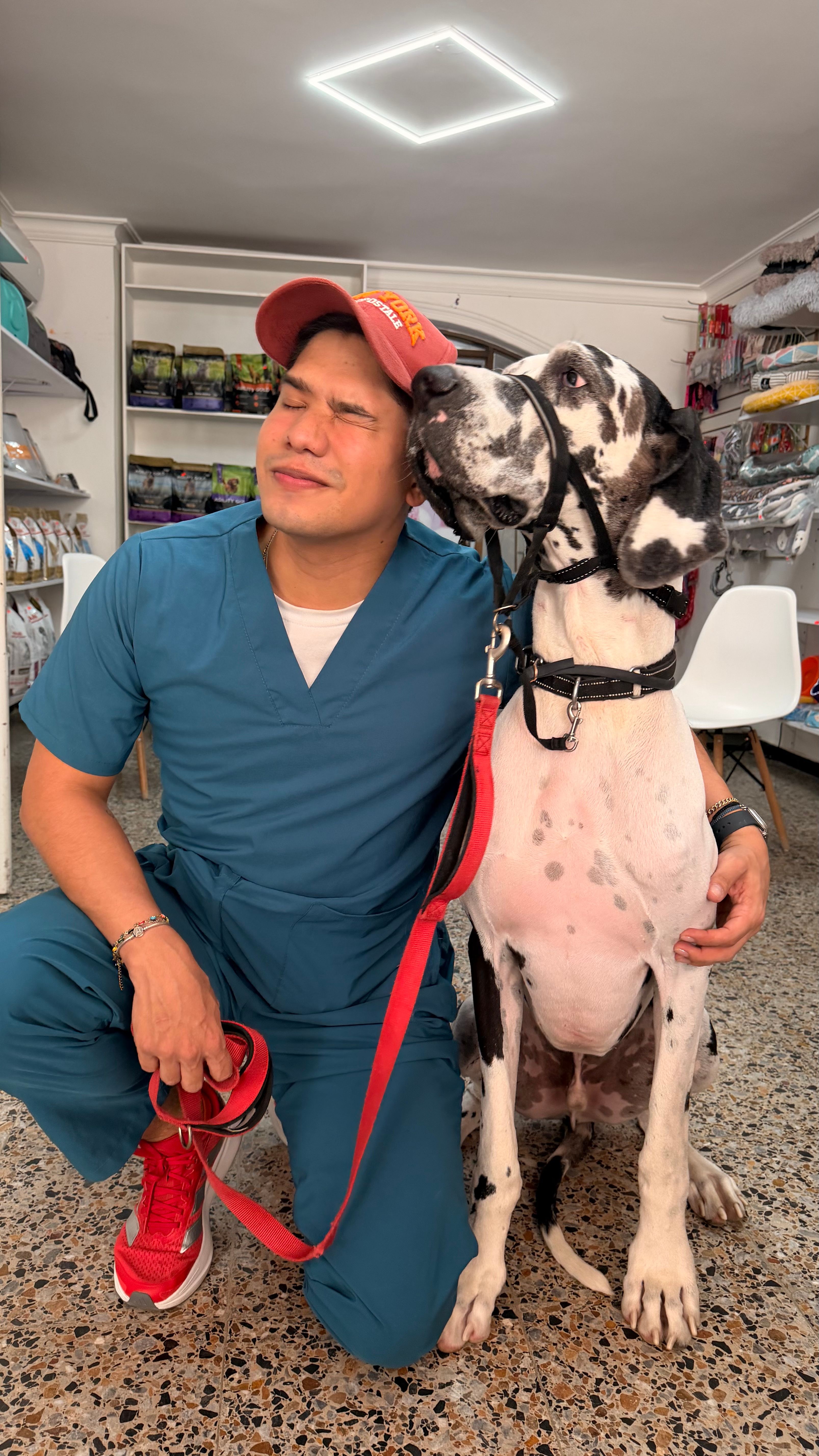 image-5