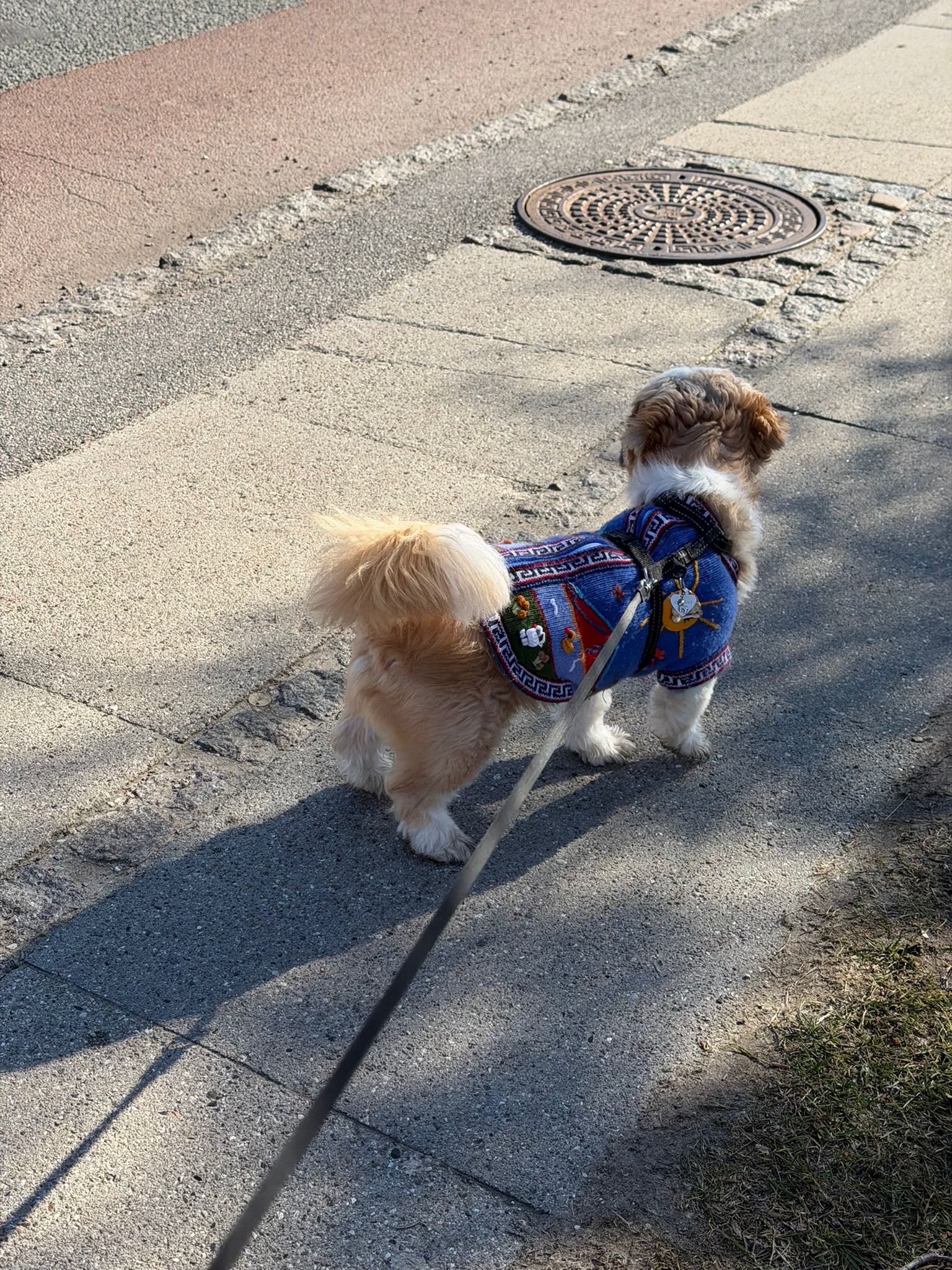 image-1