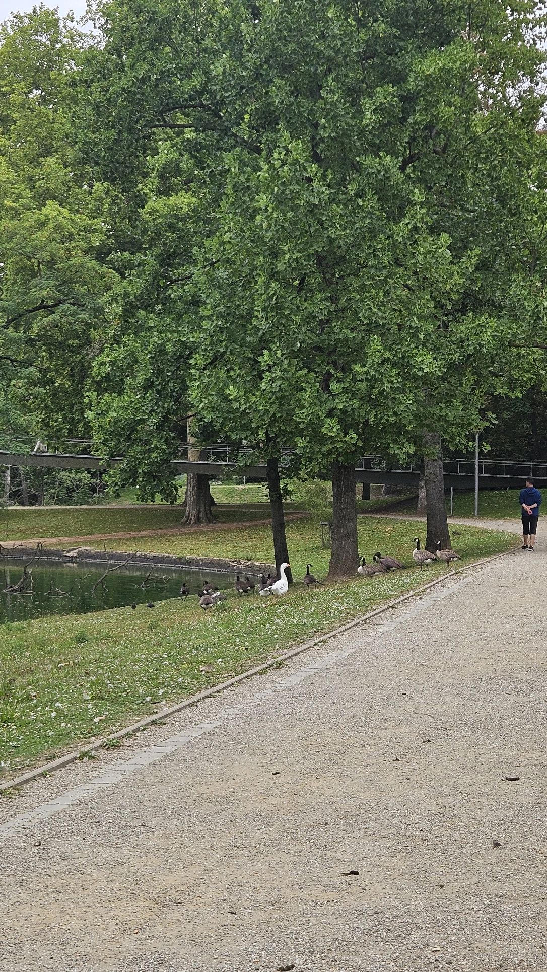 image-27
