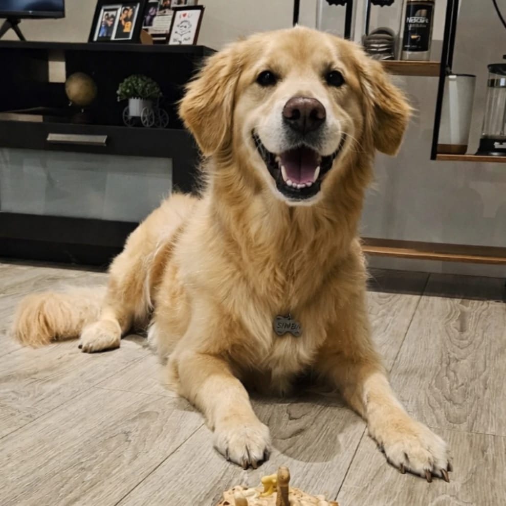 Simba