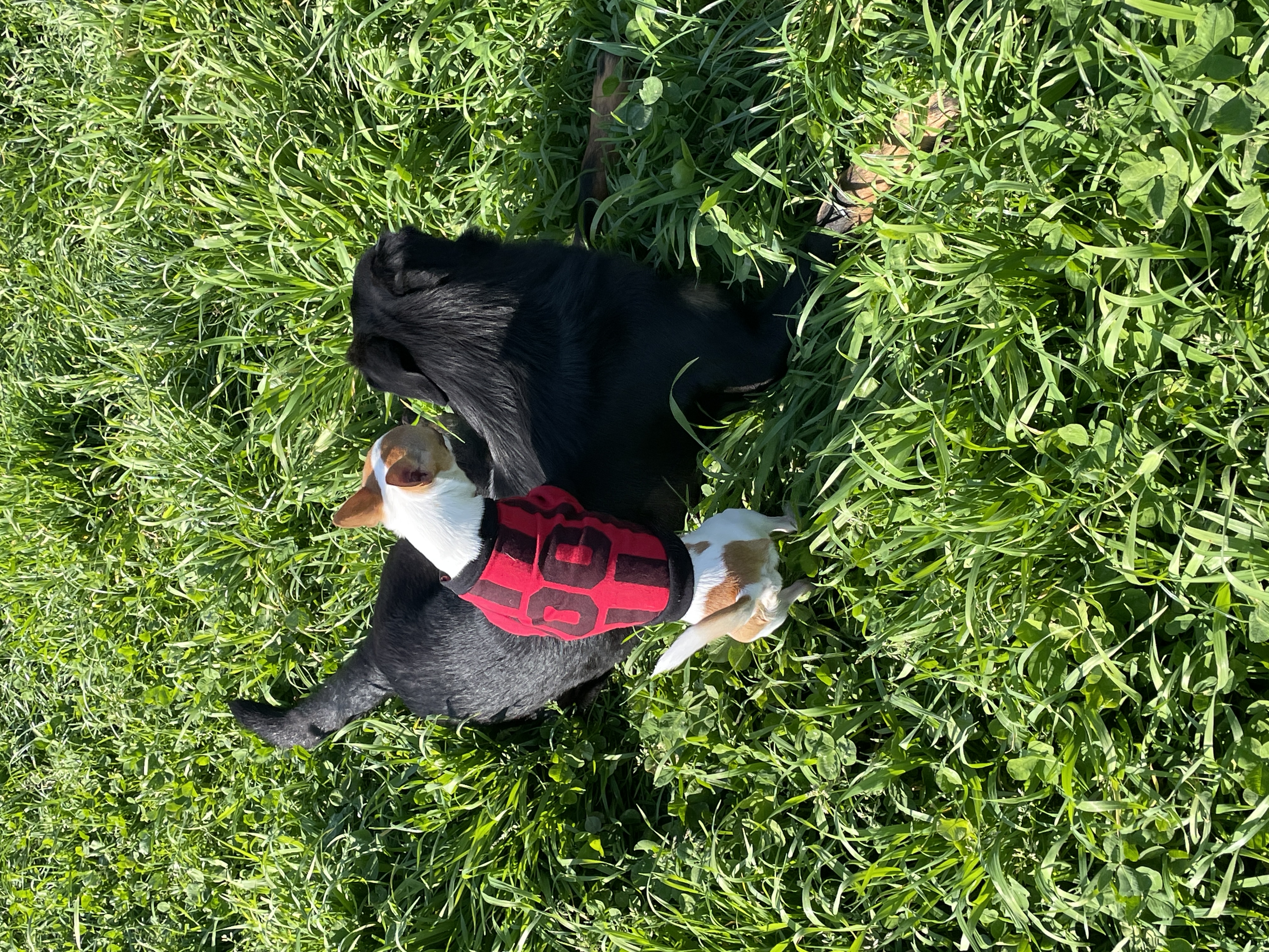 image-6