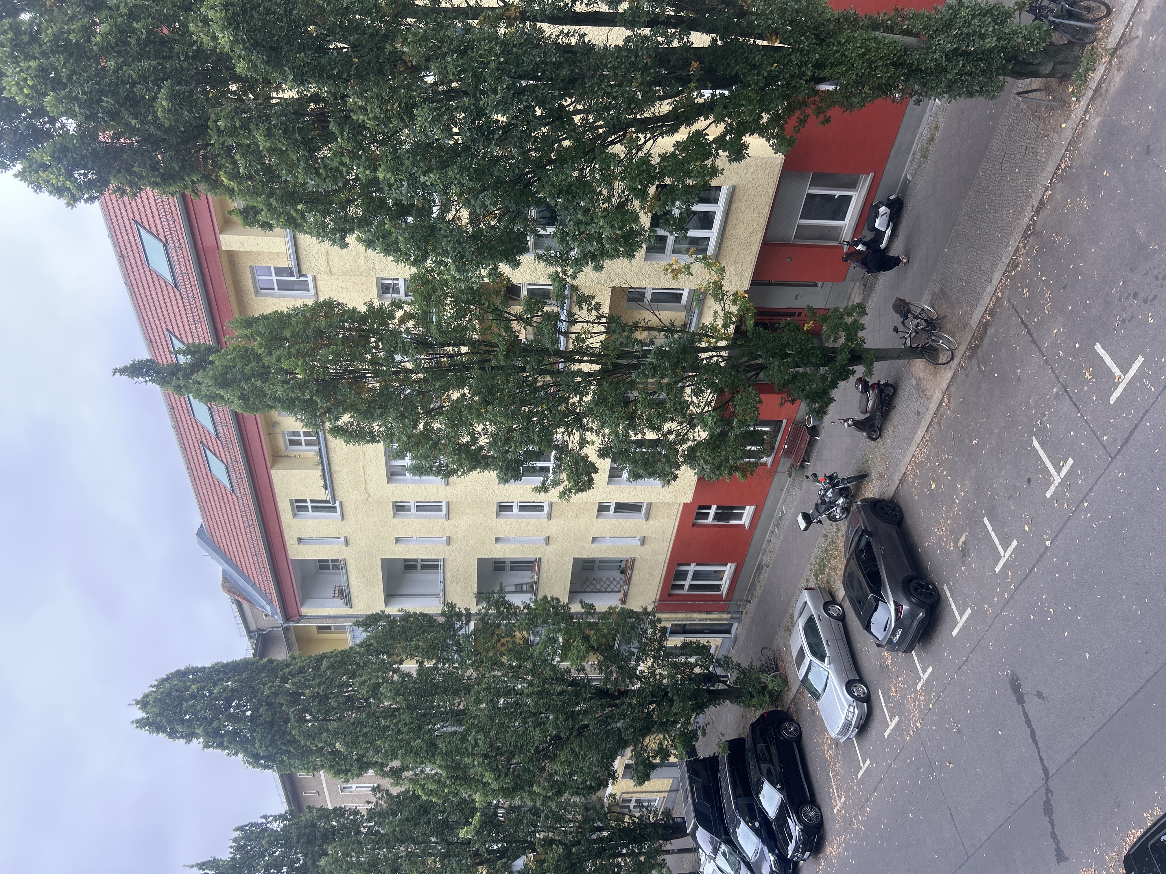 image-19