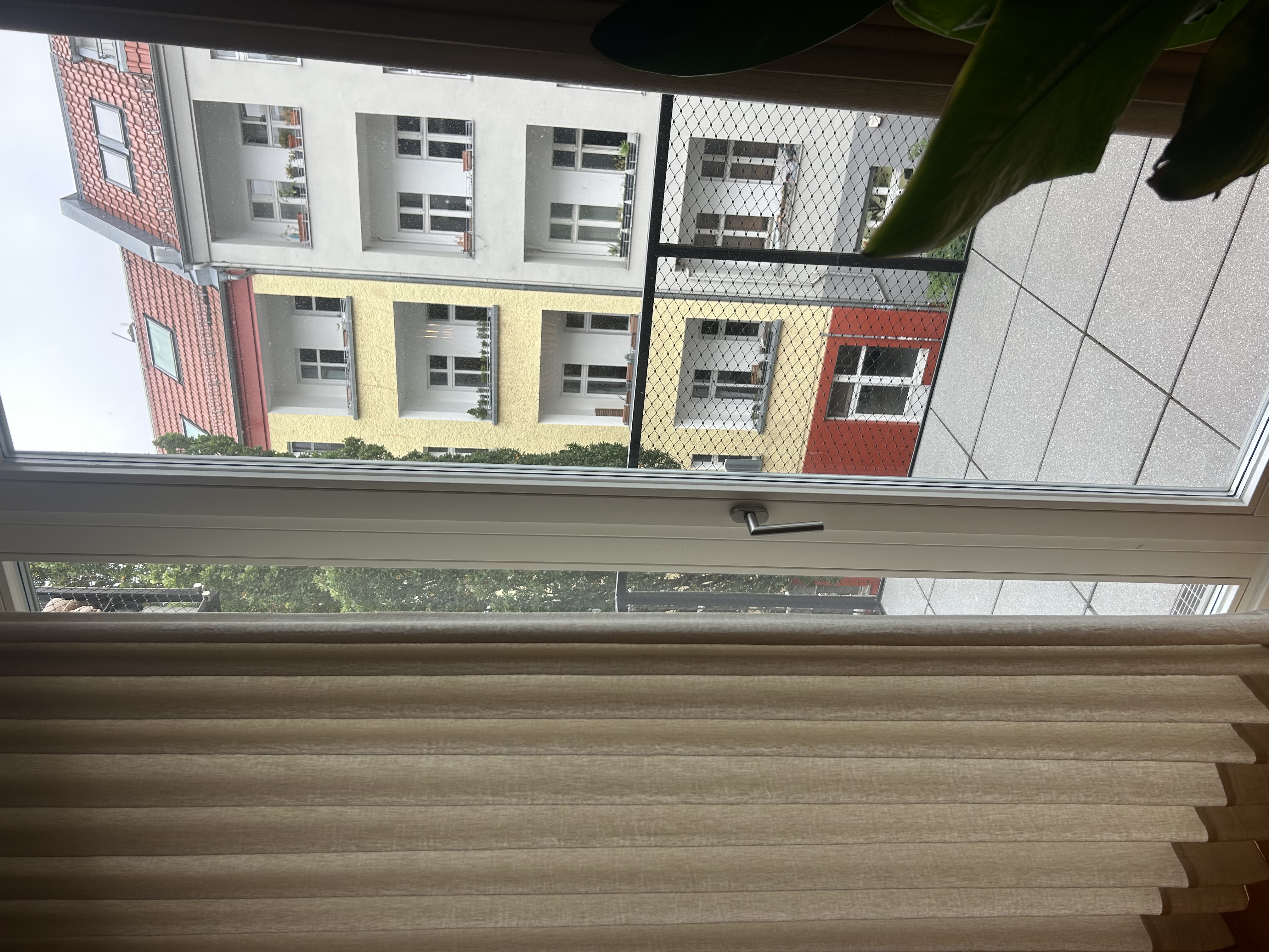 image-18