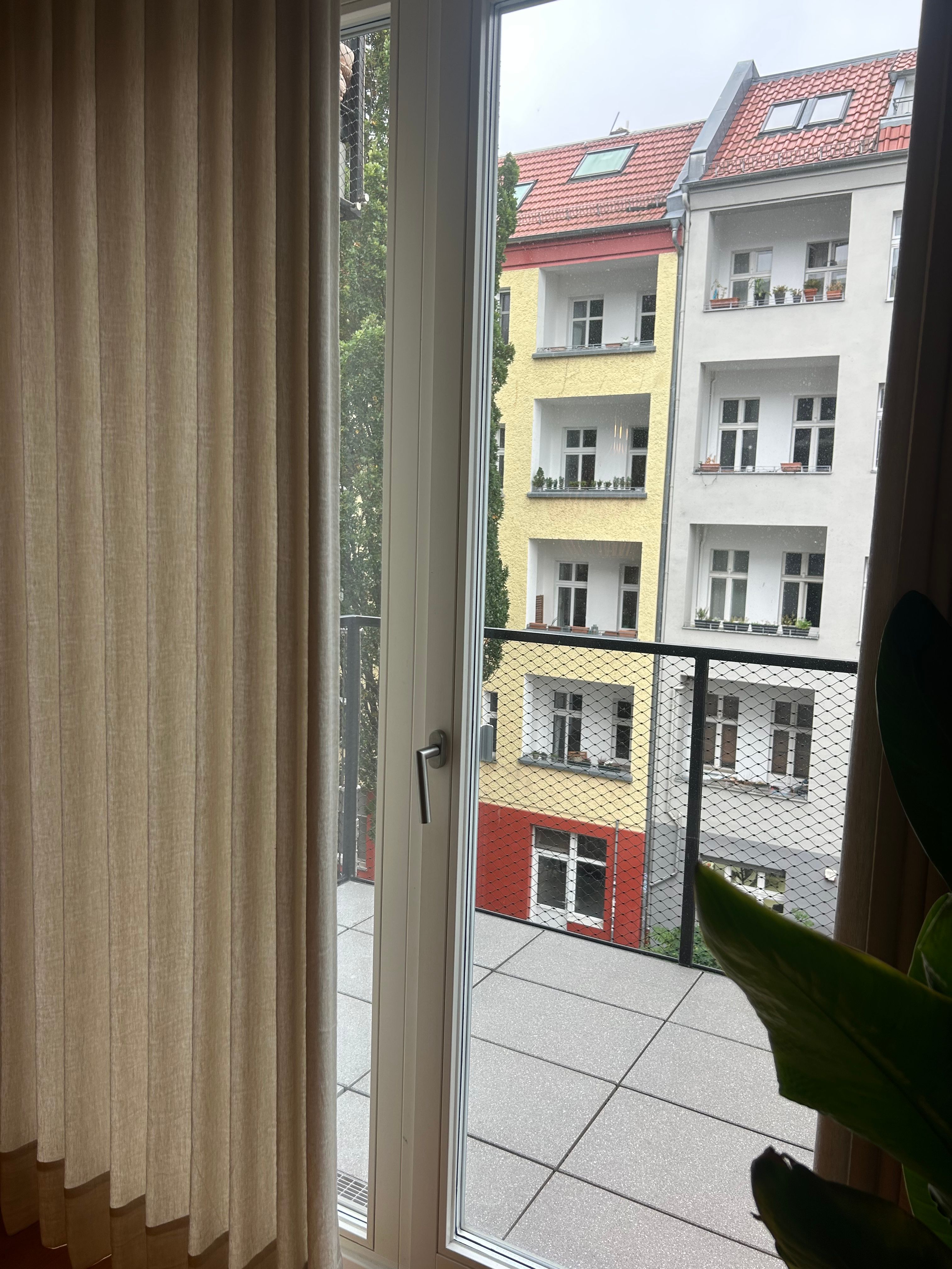image-18