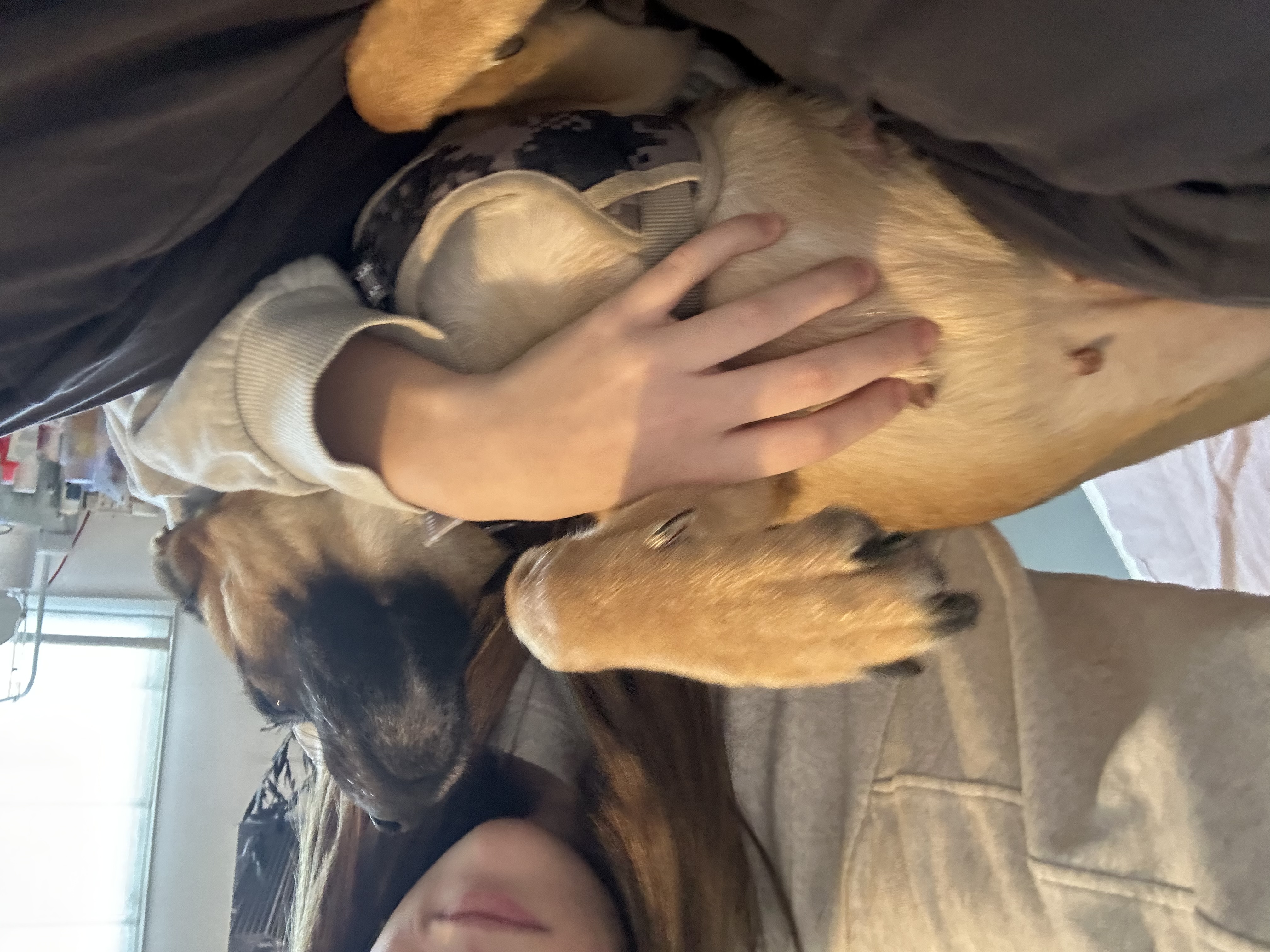 image-6