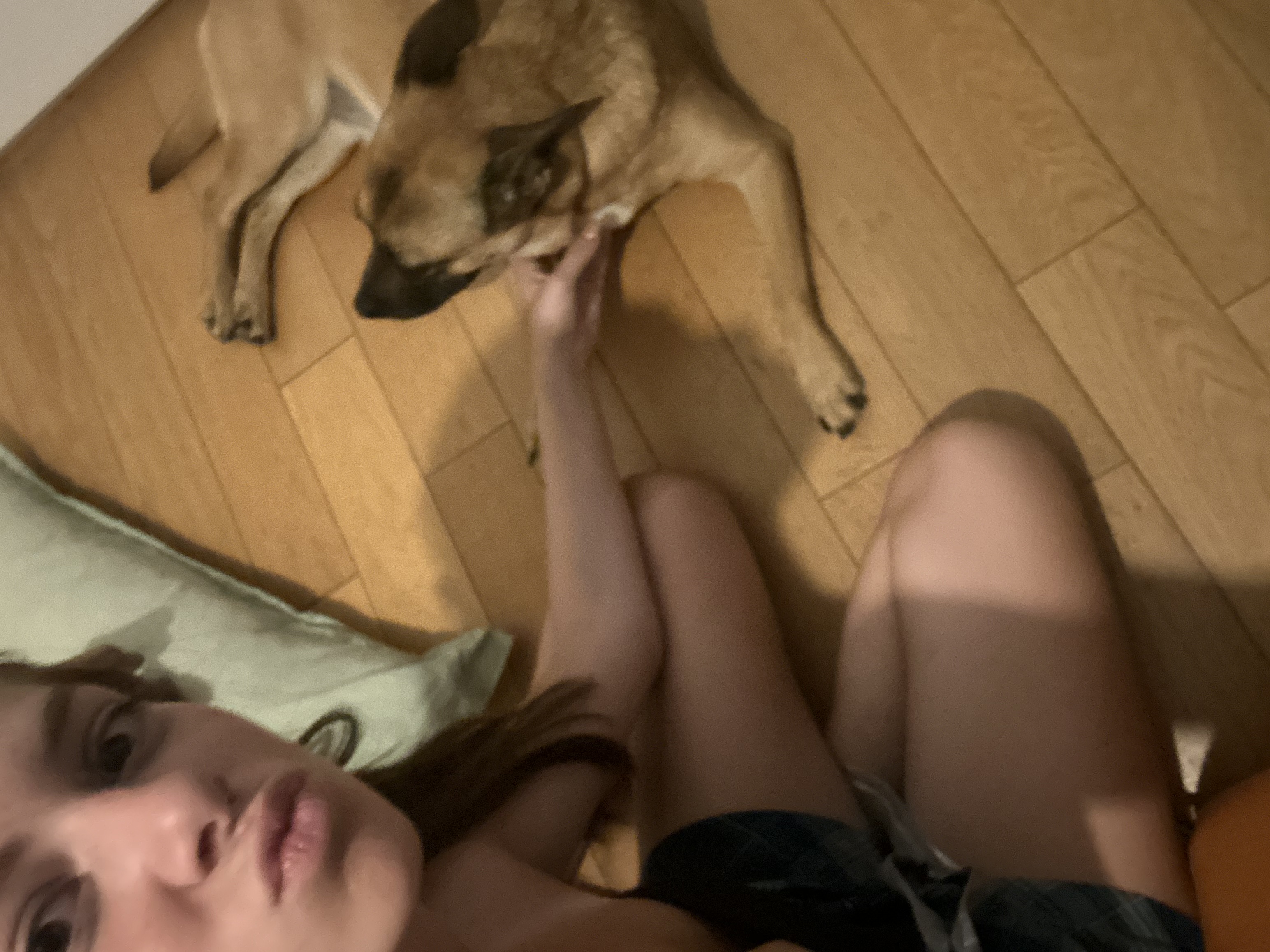 image-9