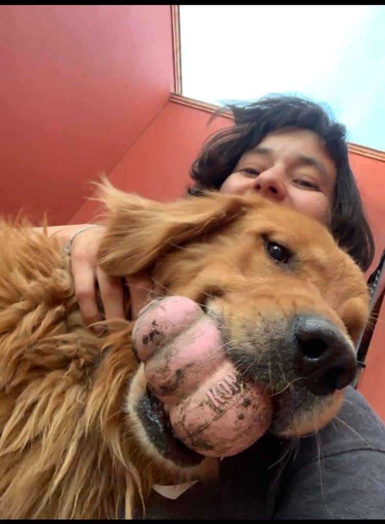 image-4